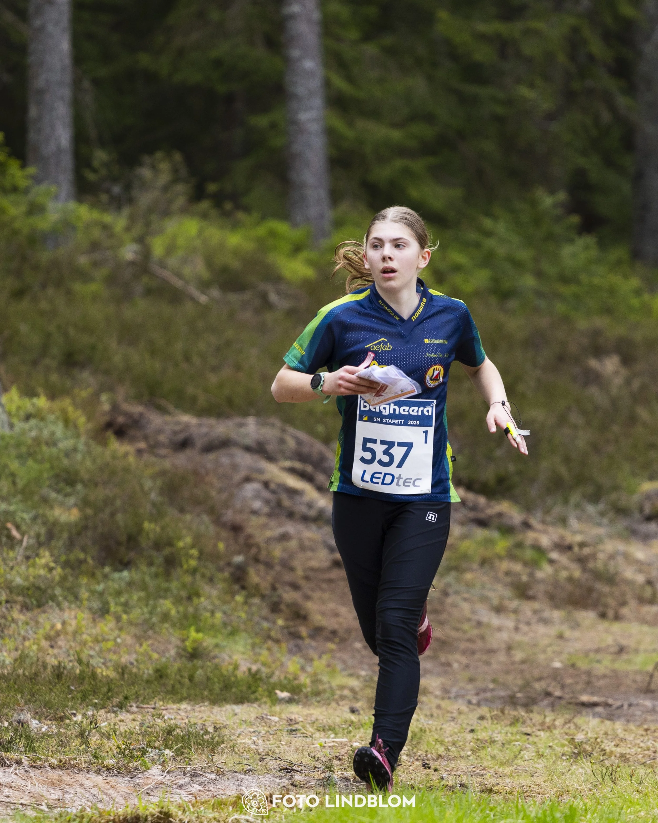 A picture from the Swedish national championship in relay orienteering