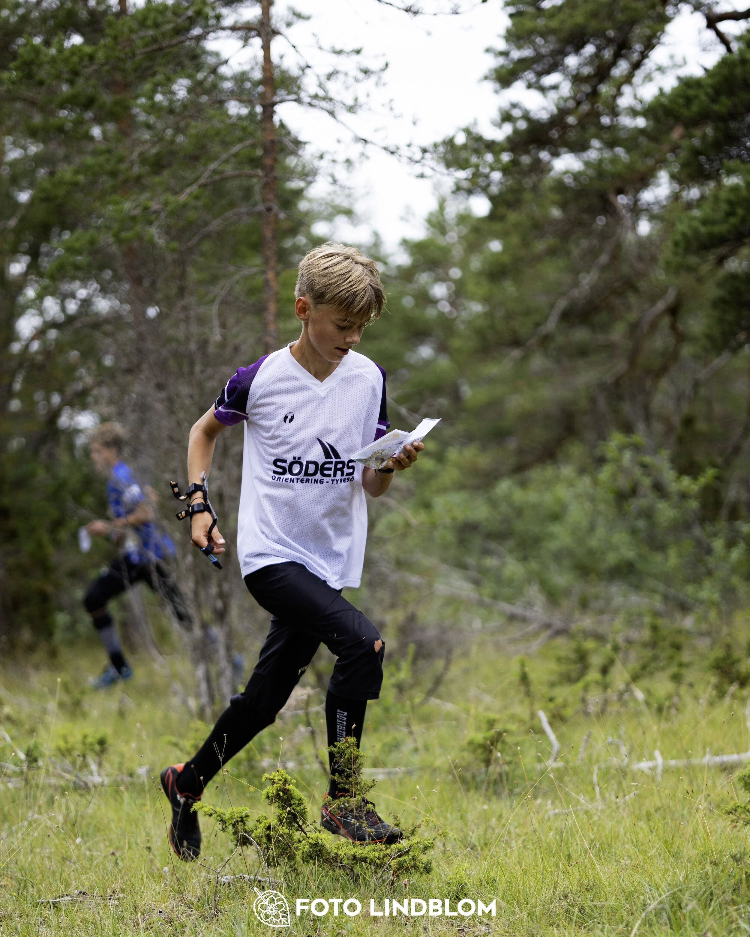 A picture from the Gotlands 2-Dagars orienteering competition