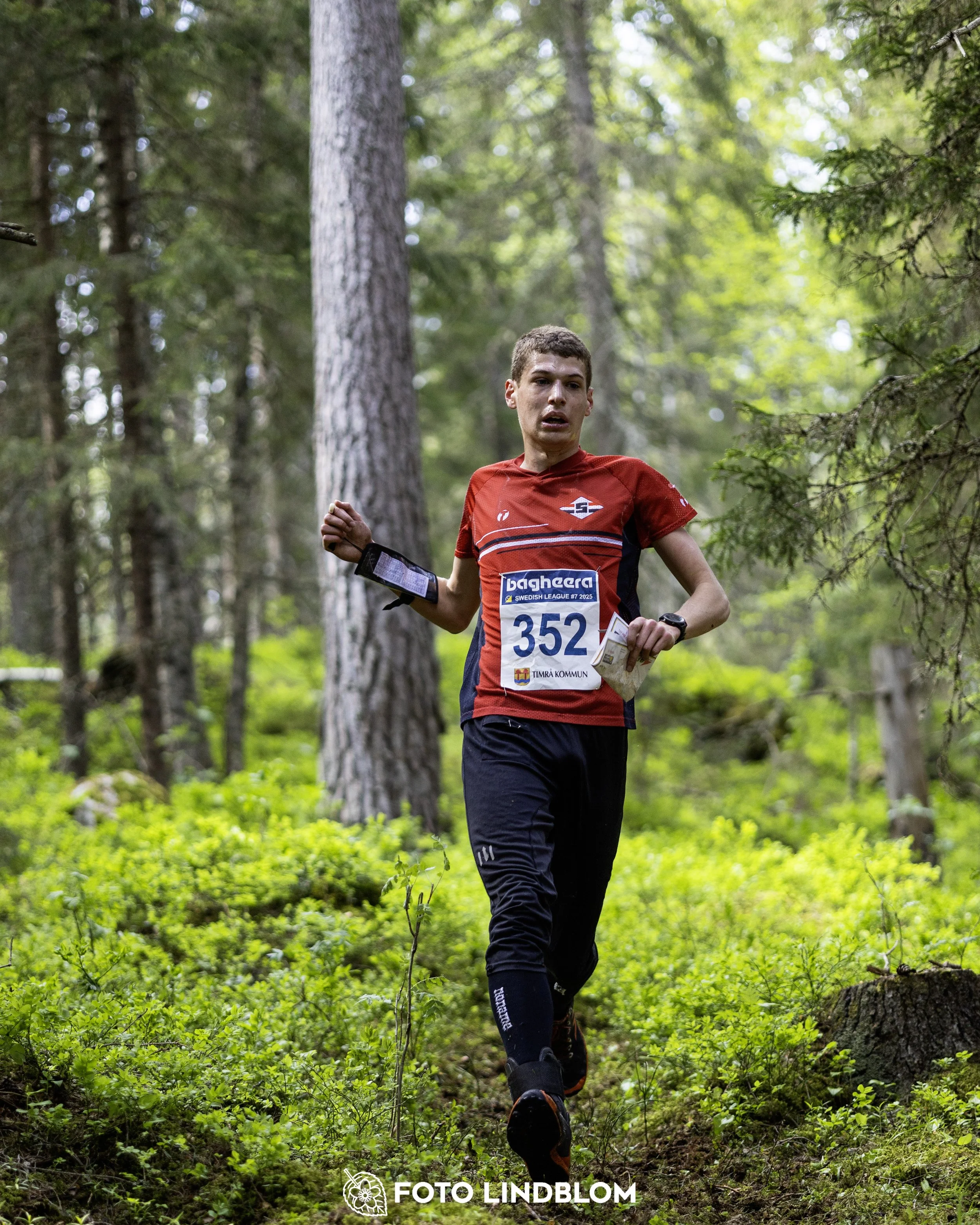 A picture from the seventh stage of the Swedish League orienteering competition