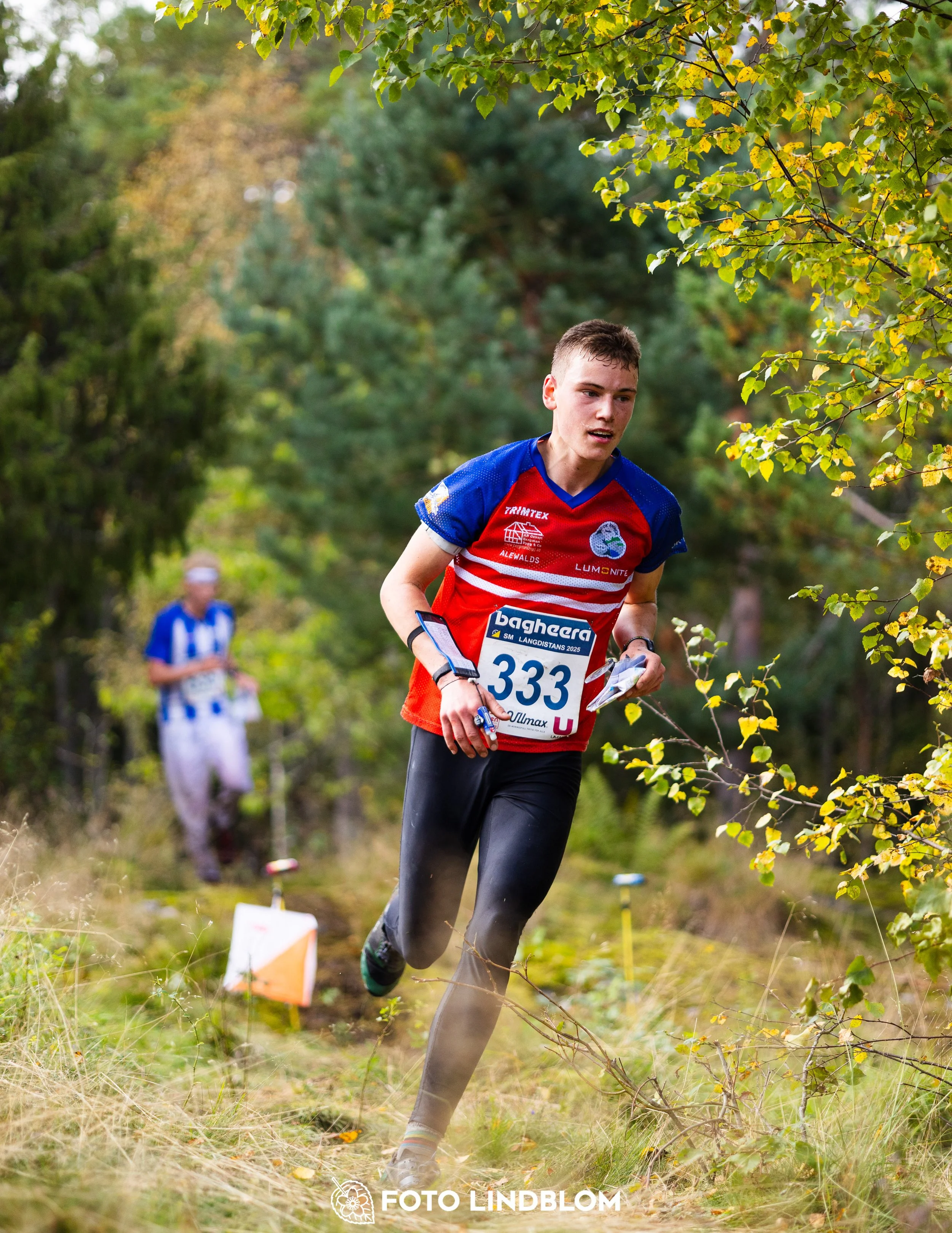 A picture from the Swedish national championship in long distance orienteering and Swedish league race taken by Foto Lindblom