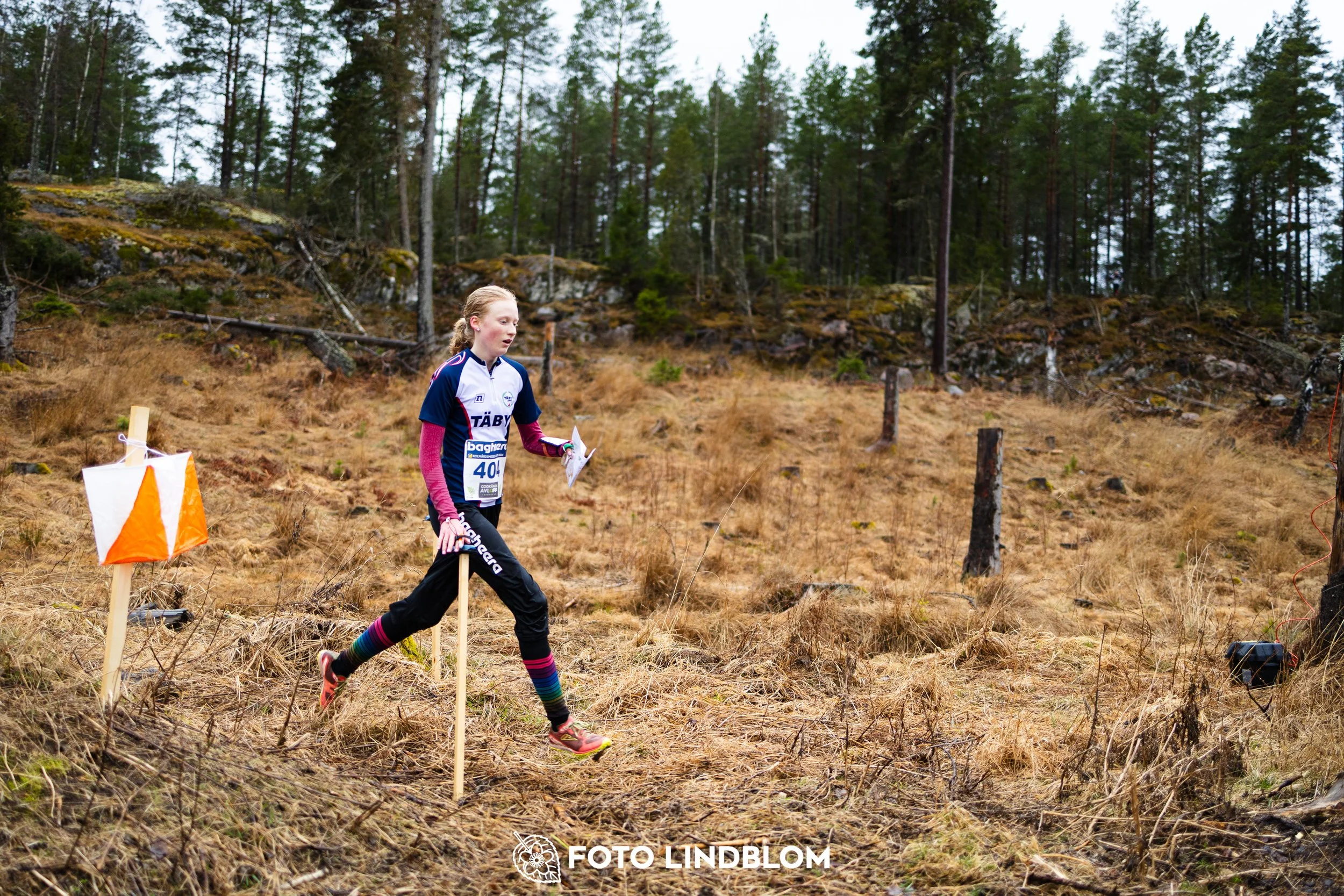 A scene from the Swedish League middle distance event in Kolmården spring 2026, captured by Foto Lindblom.