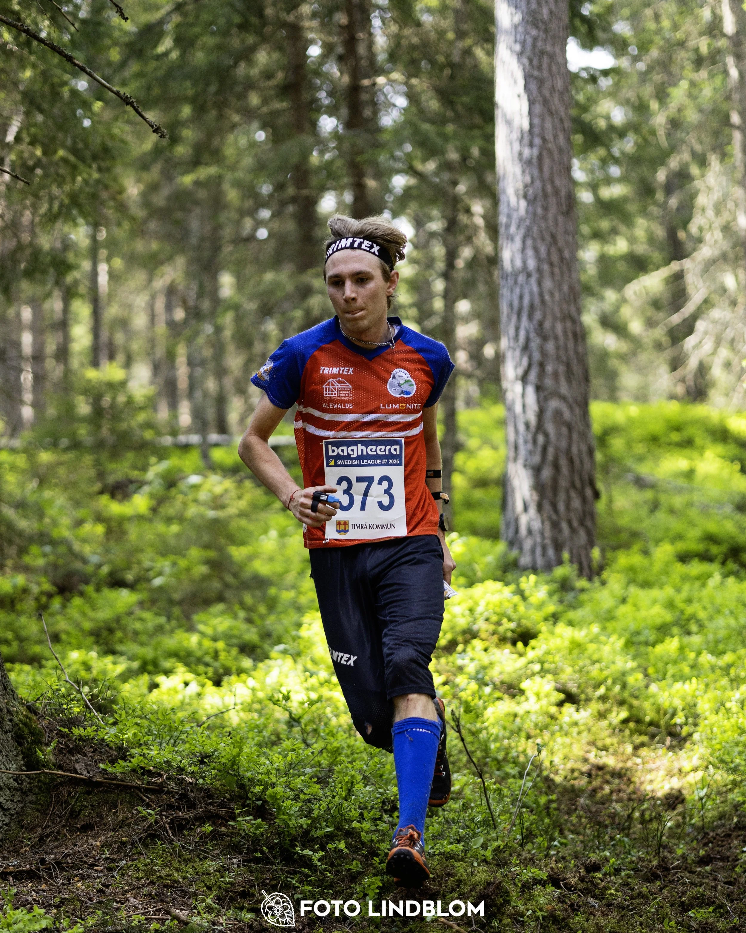 A picture from the seventh stage of the Swedish League orienteering competition