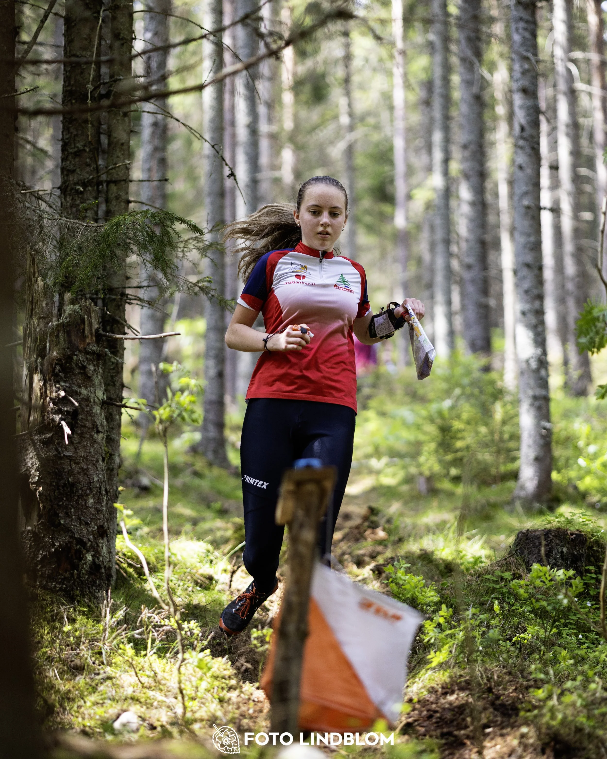 A picture from the seventh stage of the Swedish League orienteering competition