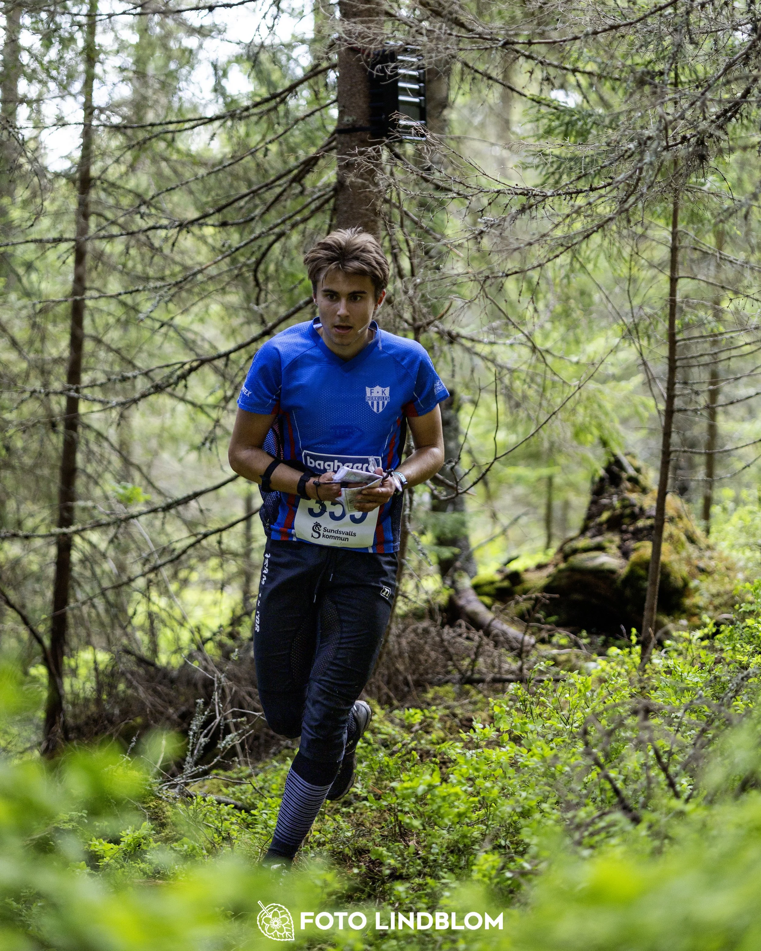 A picture from the seventh stage of the Swedish League orienteering competition