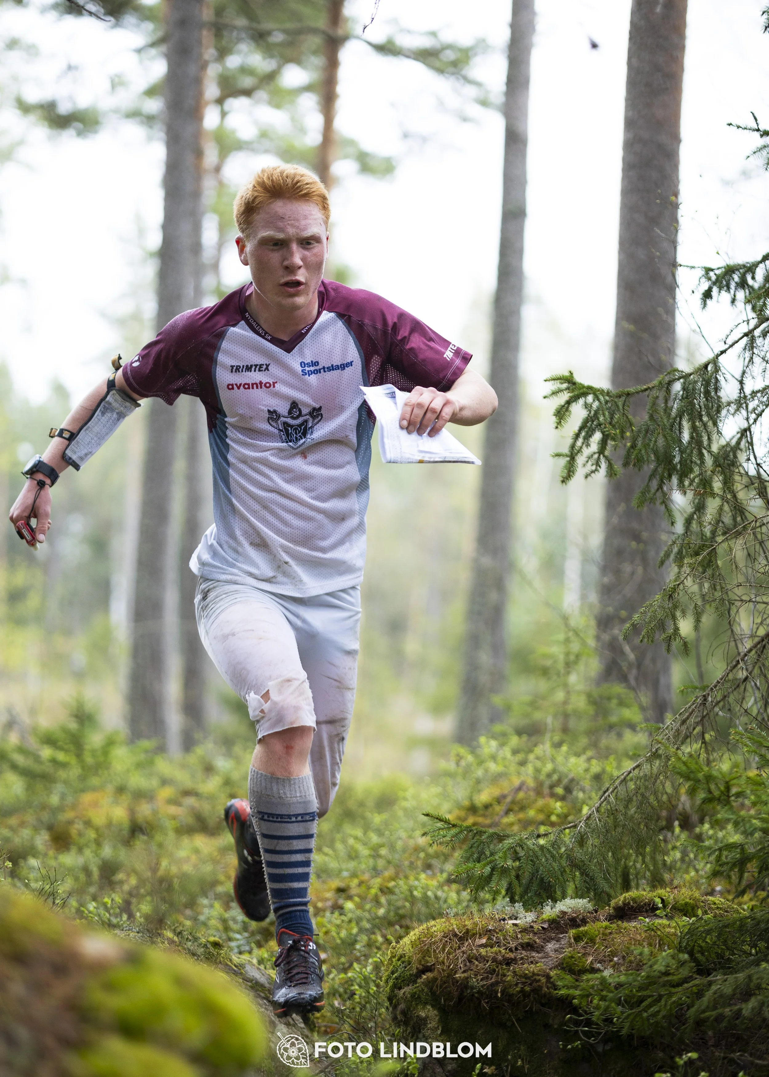 A picture from the orienteering competition "Prästtomtadubbeln"