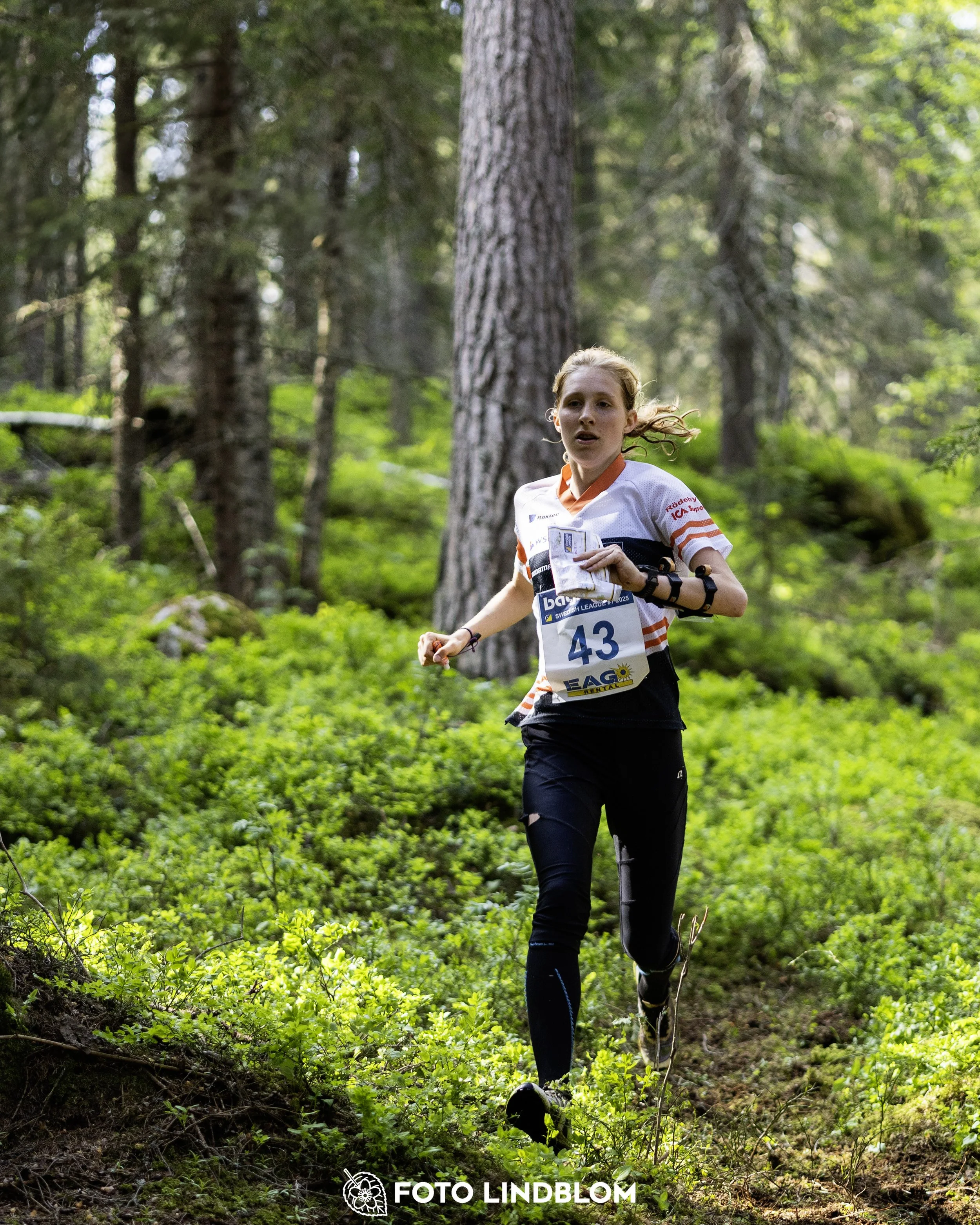 A picture from the seventh stage of the Swedish League orienteering competition