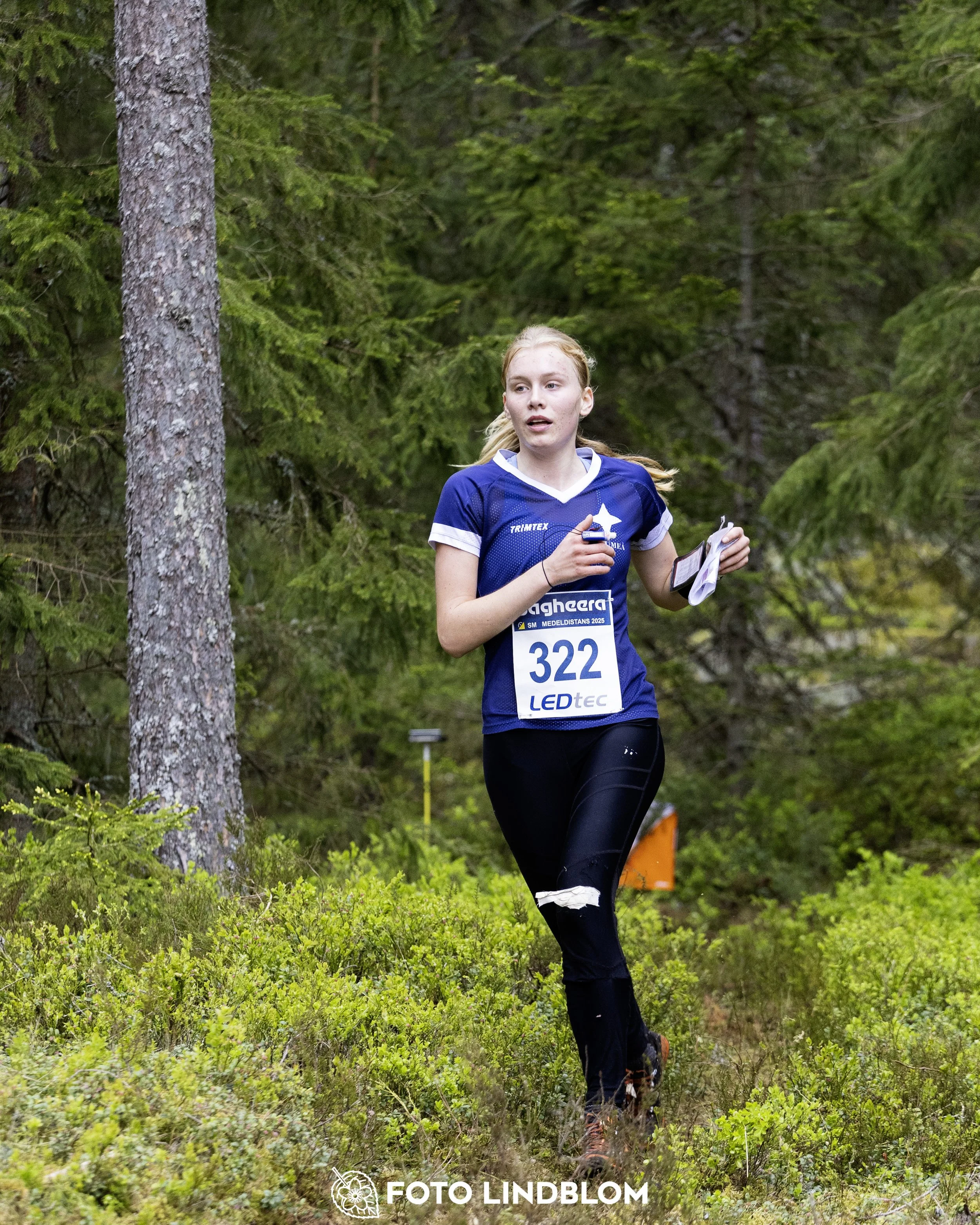 A picture from the Swedish national championship in middle distance orienteering and Swedish league race