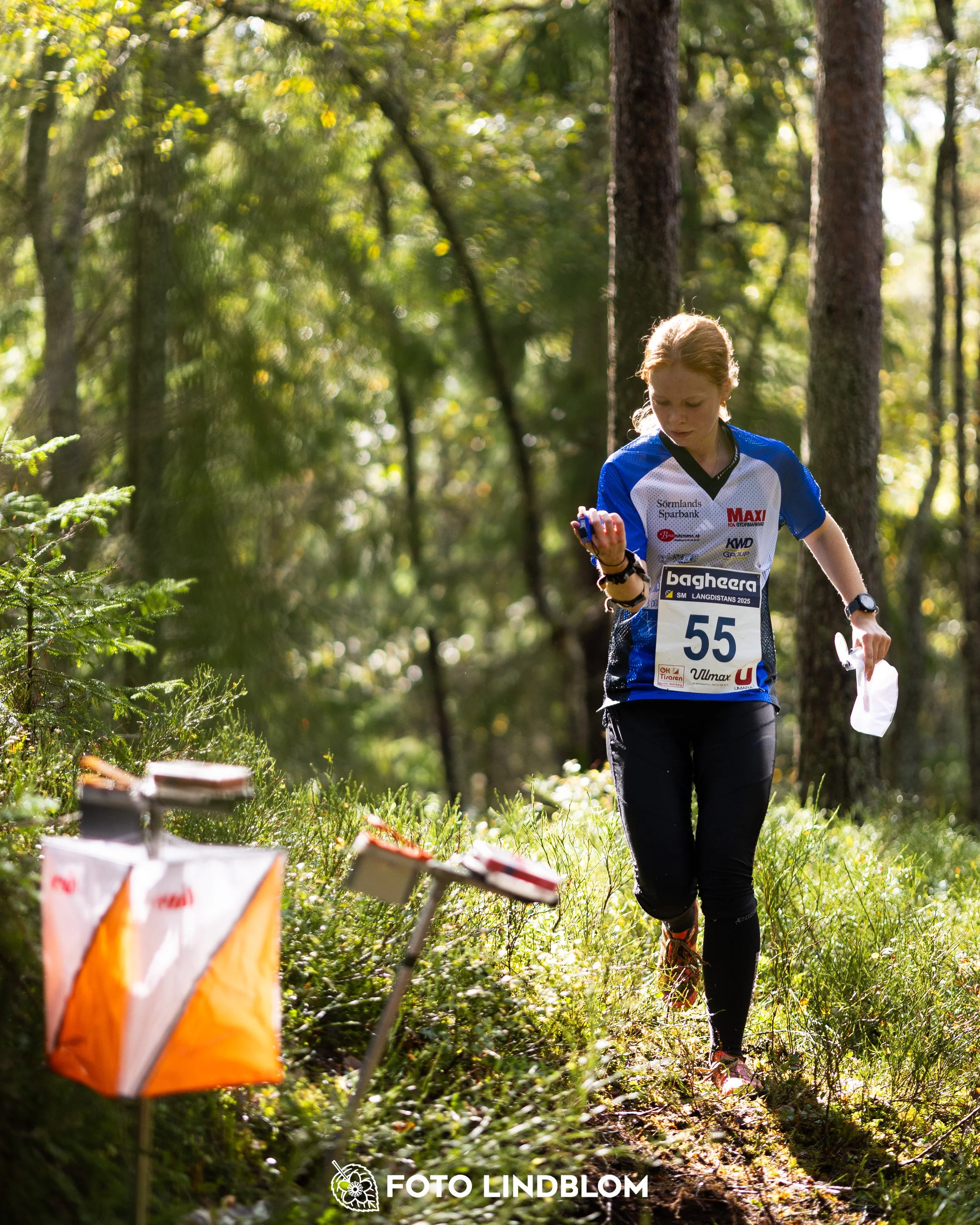 A picture from the Swedish national championship in long distance orienteering and Swedish league race taken by Foto Lindblom