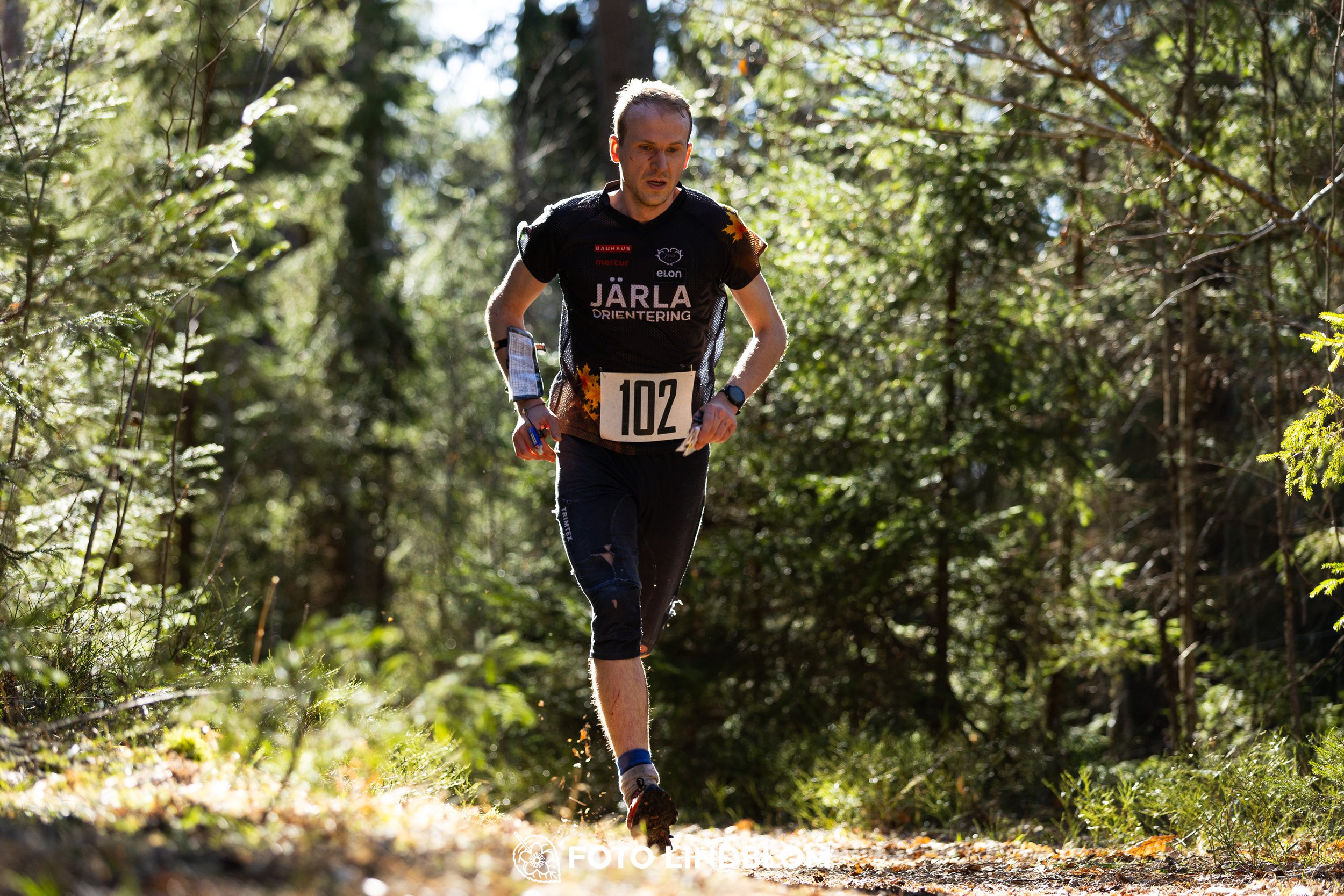 Orienteering in forest terrain at Nyköpingsorienteringen 2026, photographed by Foto Lindblom.