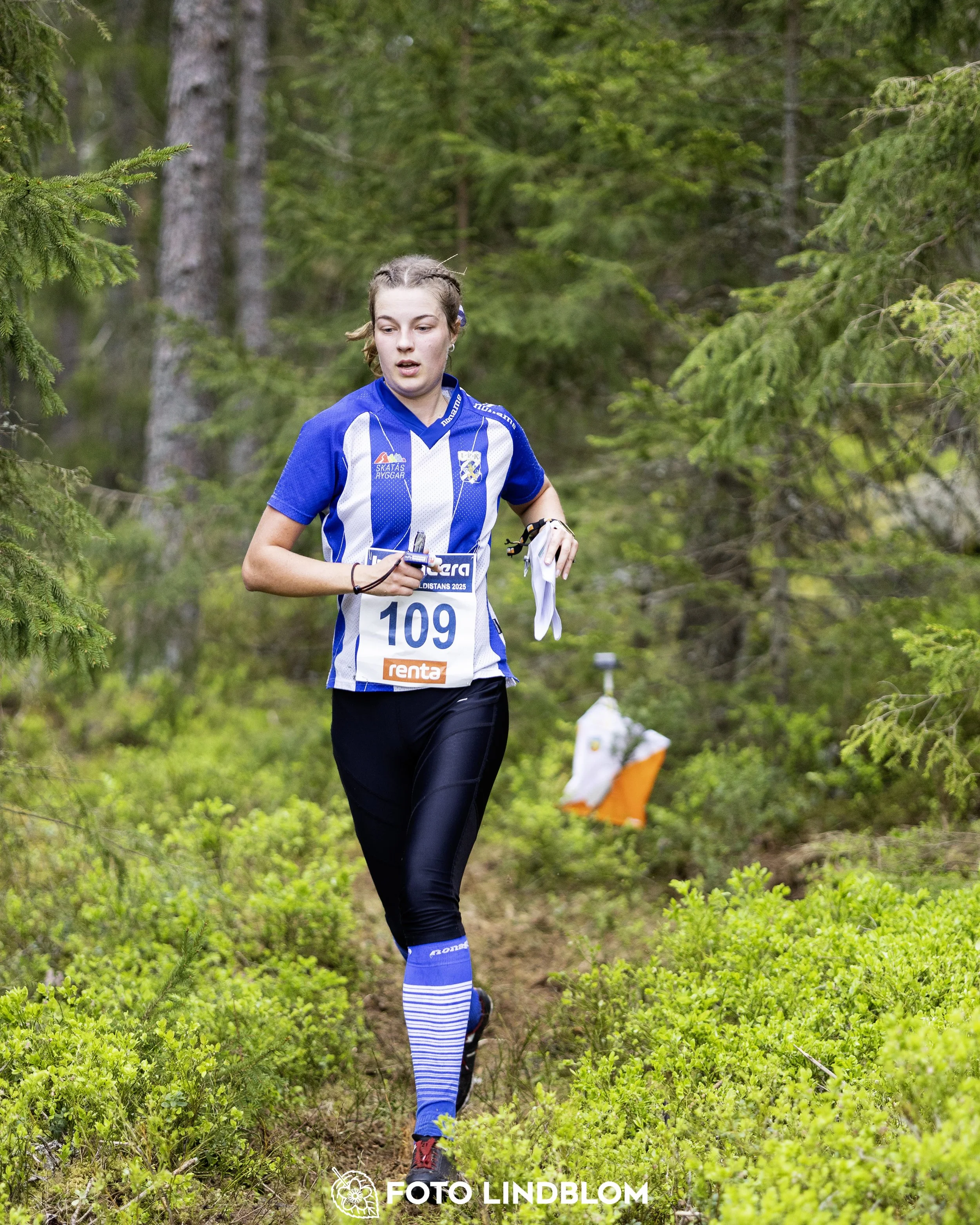 A picture from the Swedish national championship in middle distance orienteering and Swedish league race