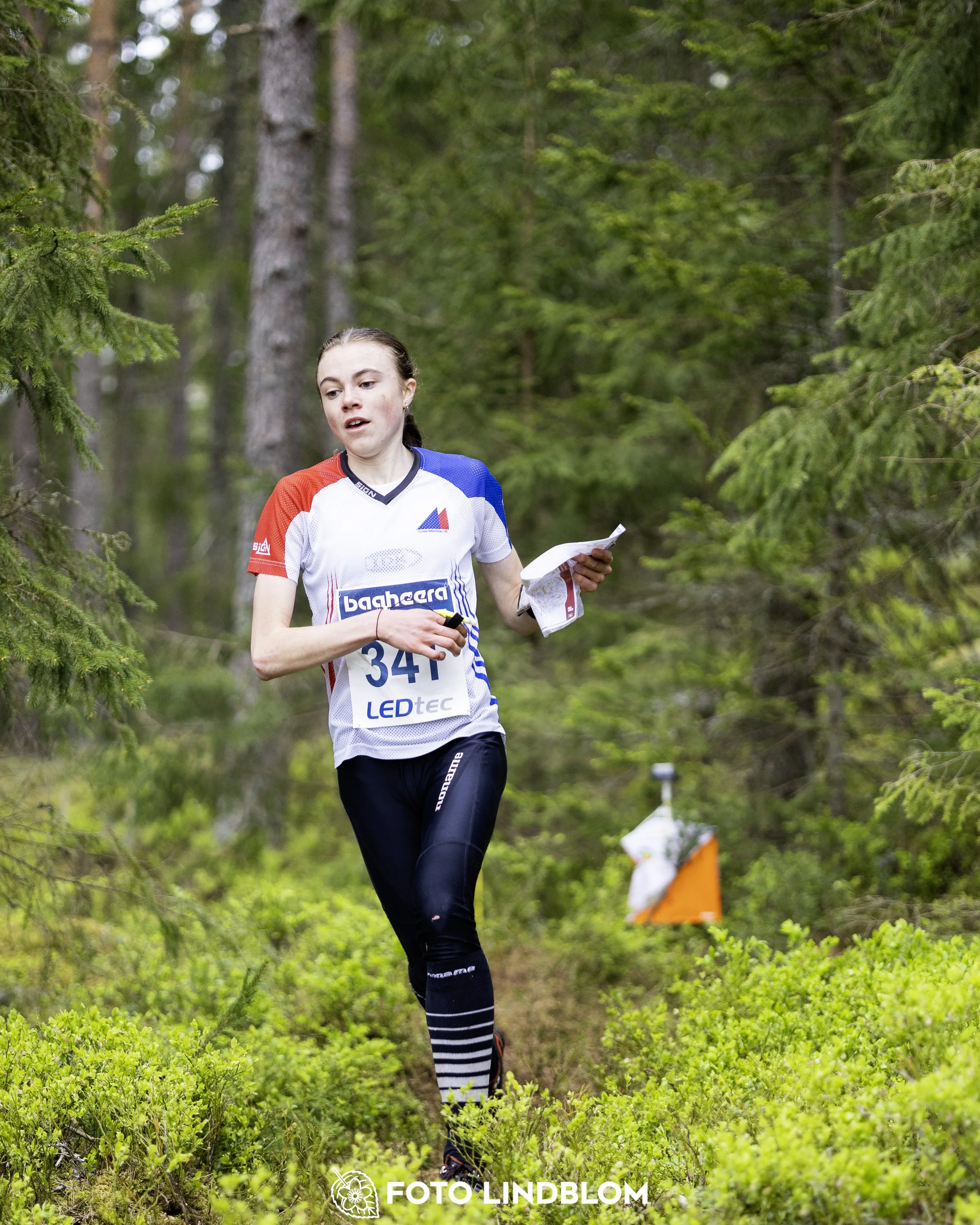 A picture from the Swedish national championship in middle distance orienteering and Swedish league race