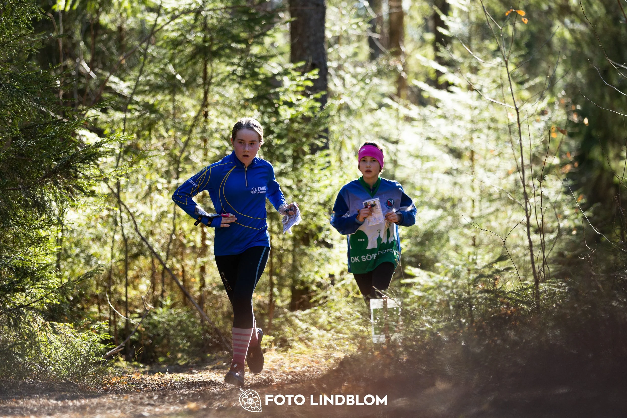 Image from Nyköpingsorienteringen 2026 showing competitors navigating forest terrain, taken by Foto Lindblom.