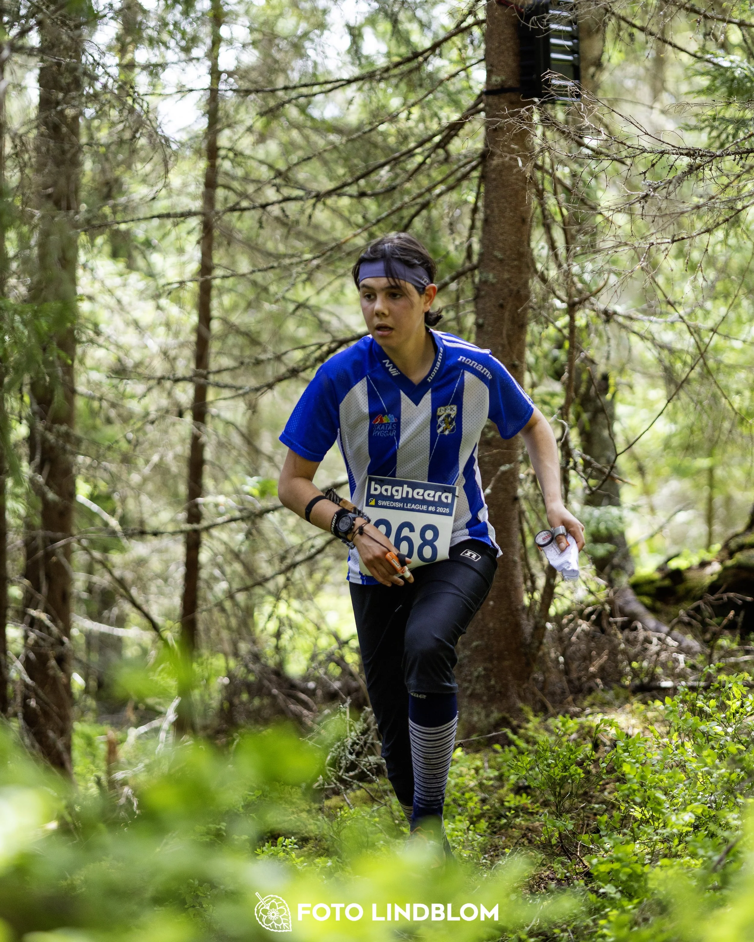 A picture from the seventh stage of the Swedish League orienteering competition