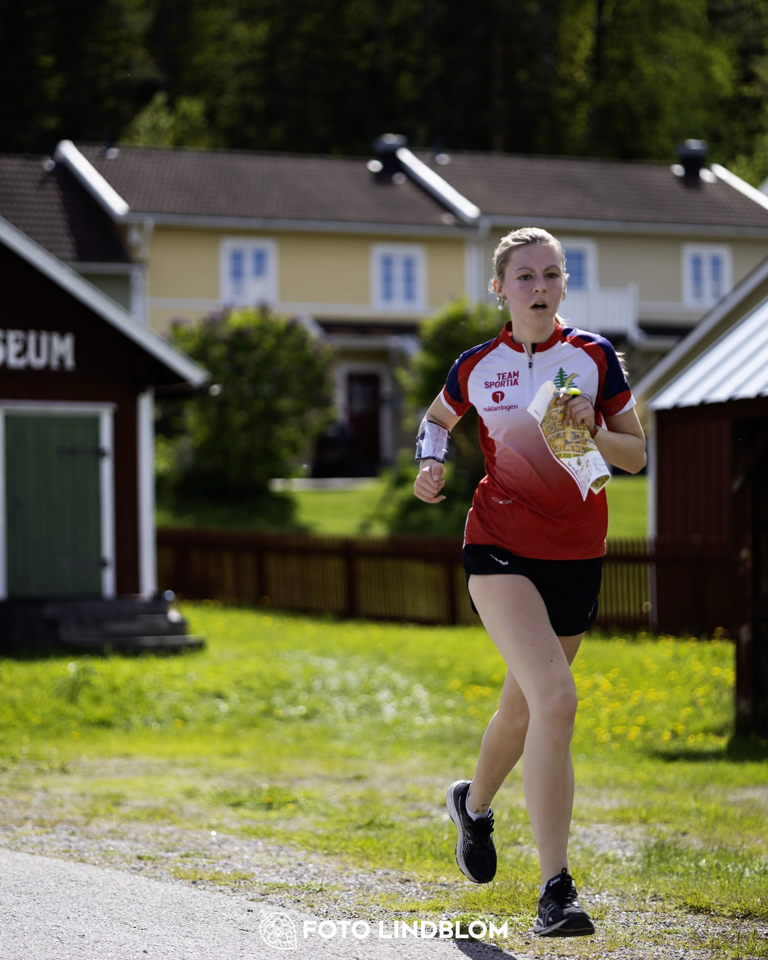 A picture from the fifth stage of the Swedish League orienteering competition