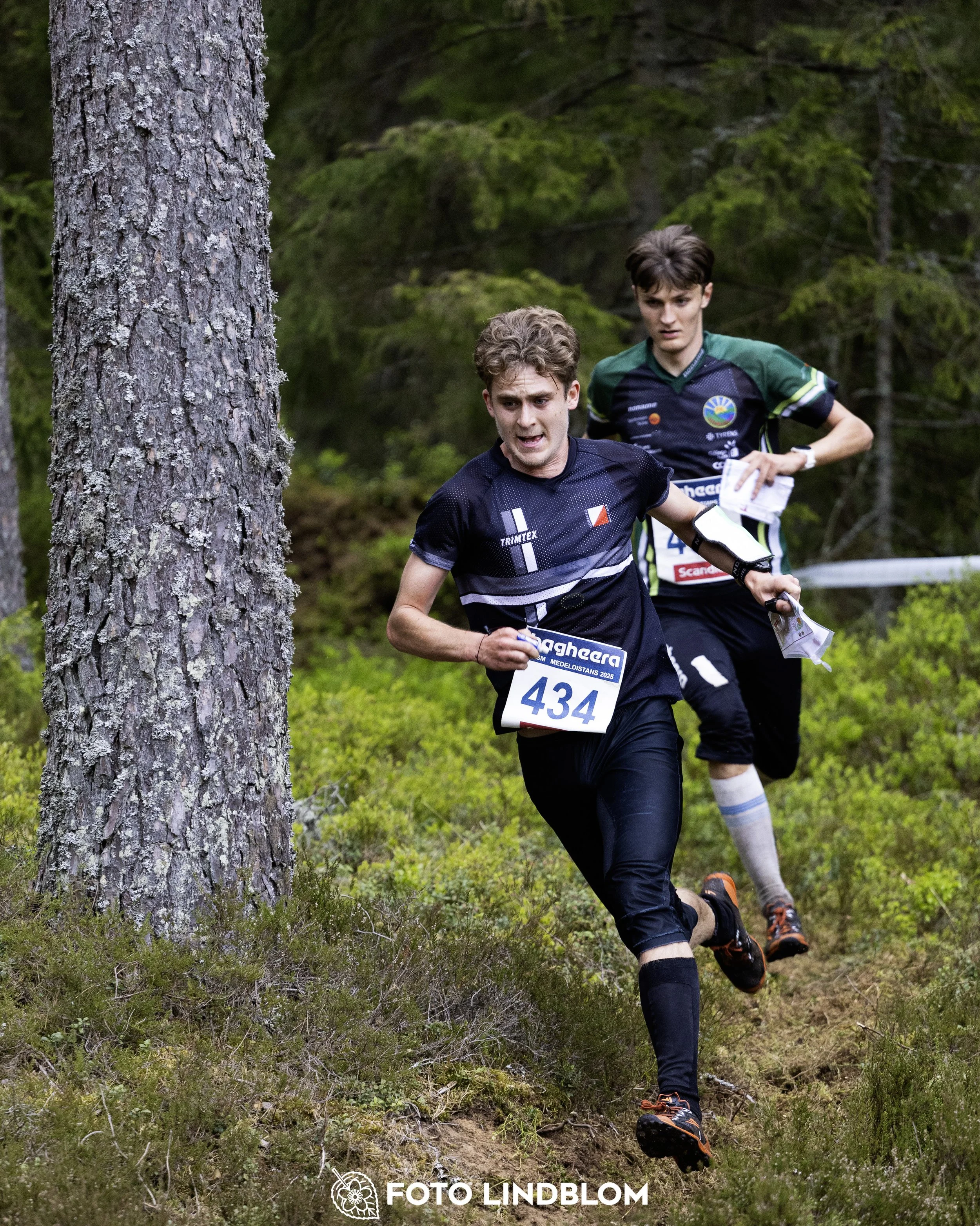 A picture from the Swedish national championship in middle distance orienteering and Swedish league race