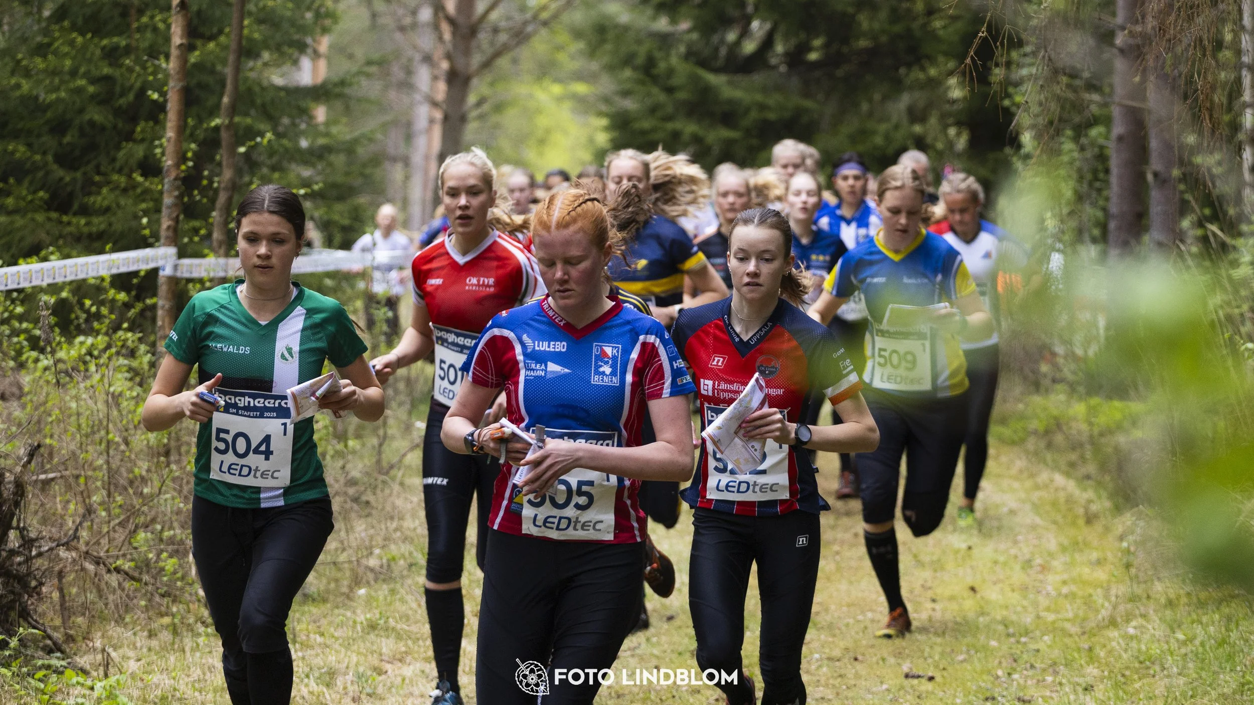 A picture from the Swedish national championship in relay orienteering