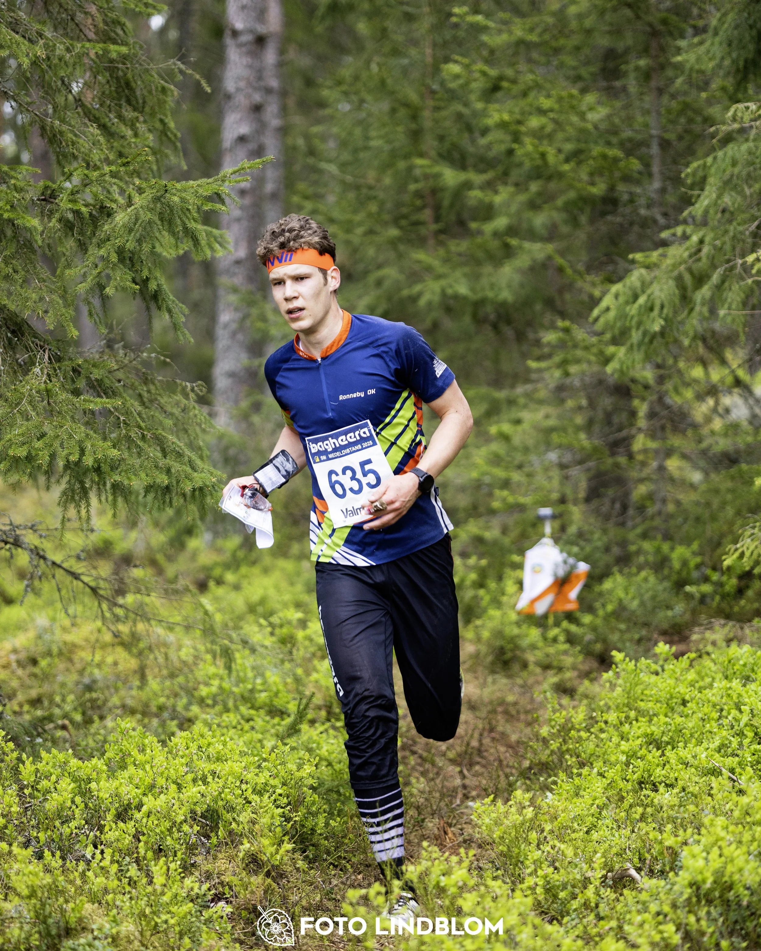 A picture from the Swedish national championship in middle distance orienteering and Swedish league race