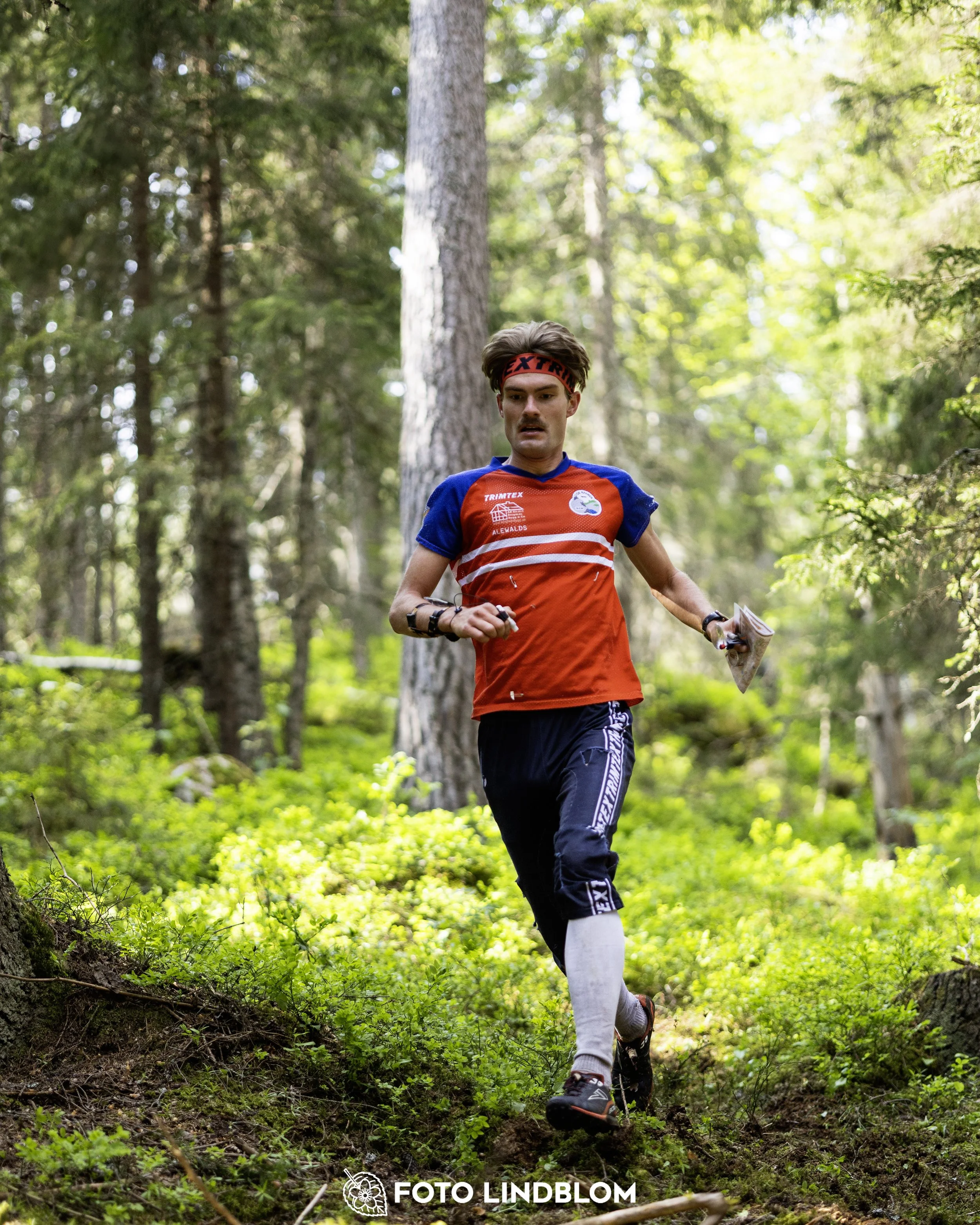 A picture from the seventh stage of the Swedish League orienteering competition