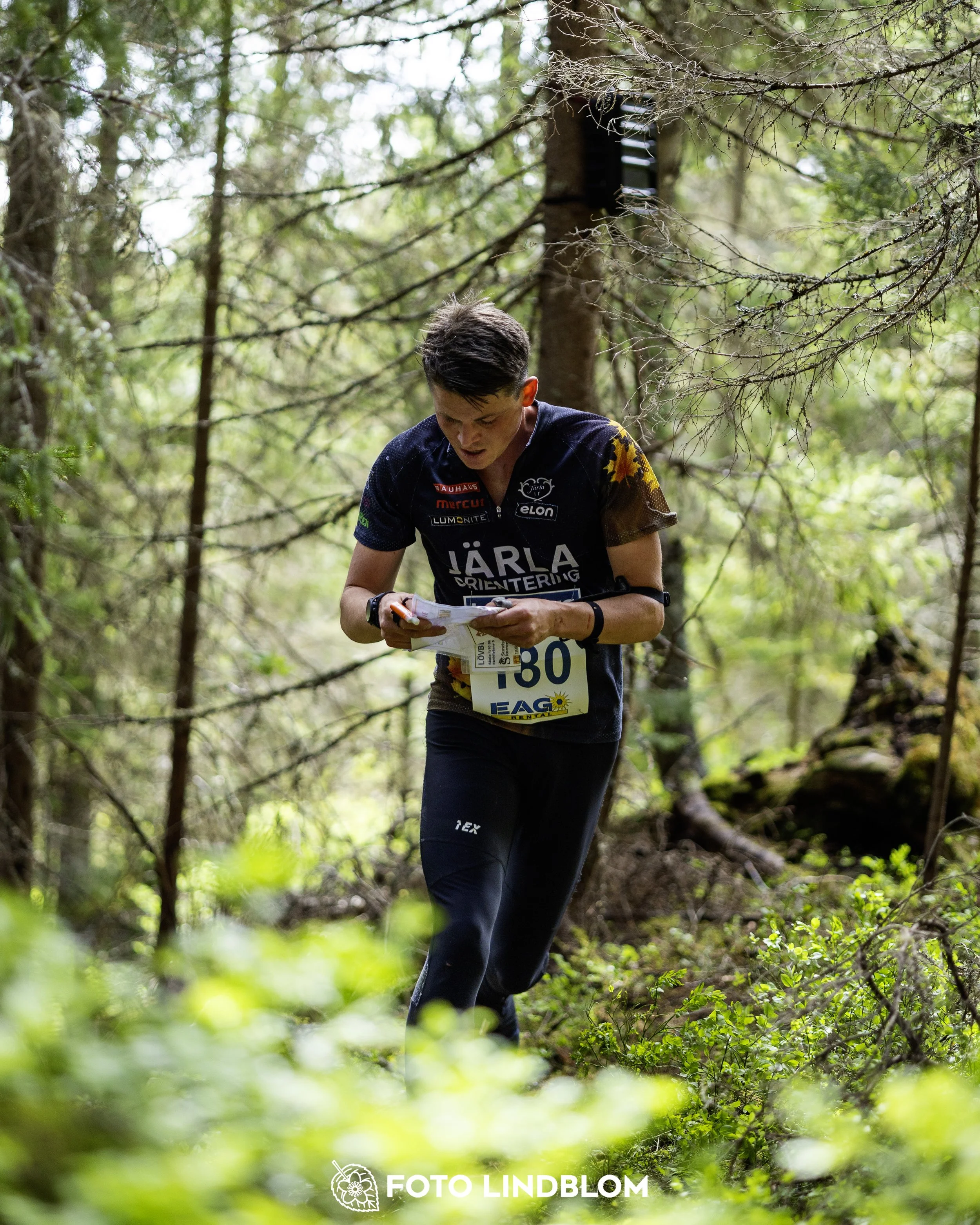 A picture from the seventh stage of the Swedish League orienteering competition