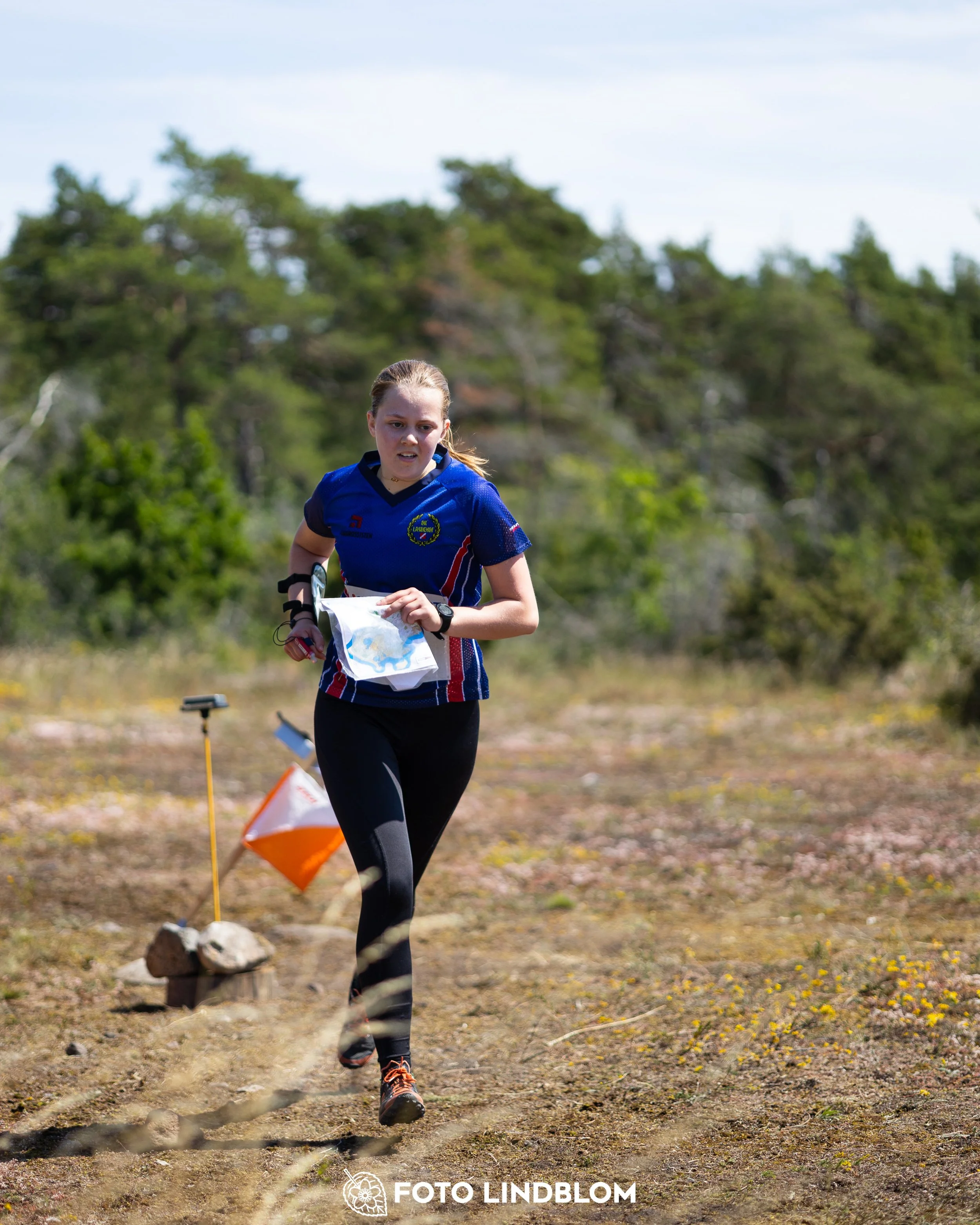 A picture from the Gotlands 3-Dagars orienteering competition