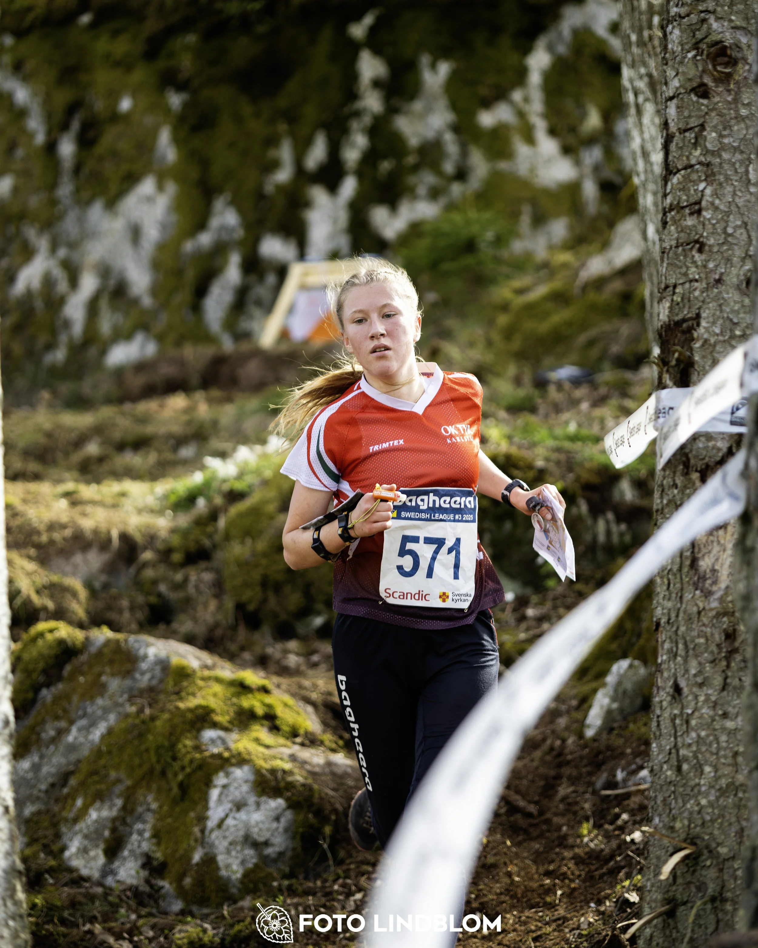 A picture from the third stage of the Swedish League orienteering competition