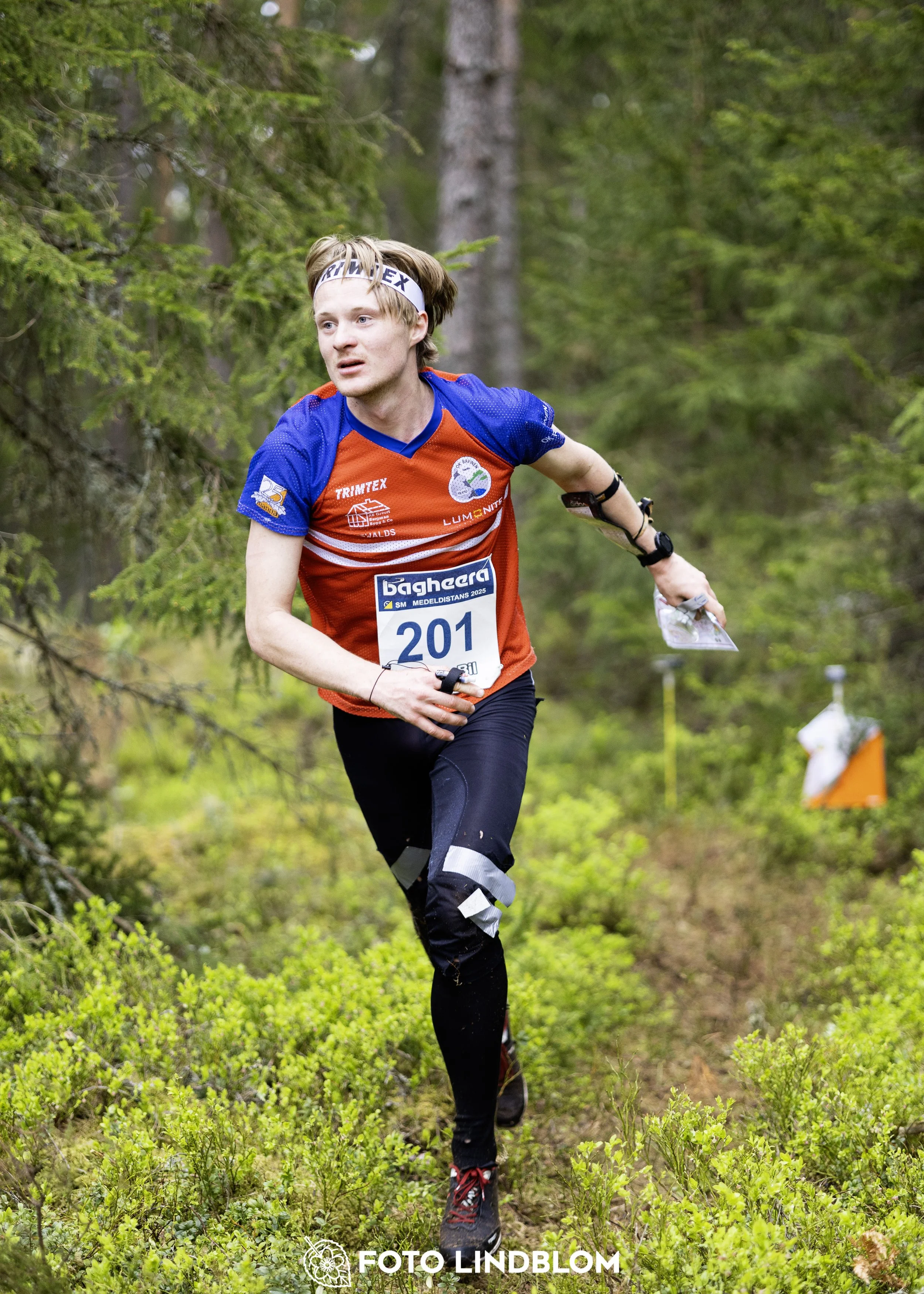 A picture from the Swedish national championship in middle distance orienteering and Swedish league race