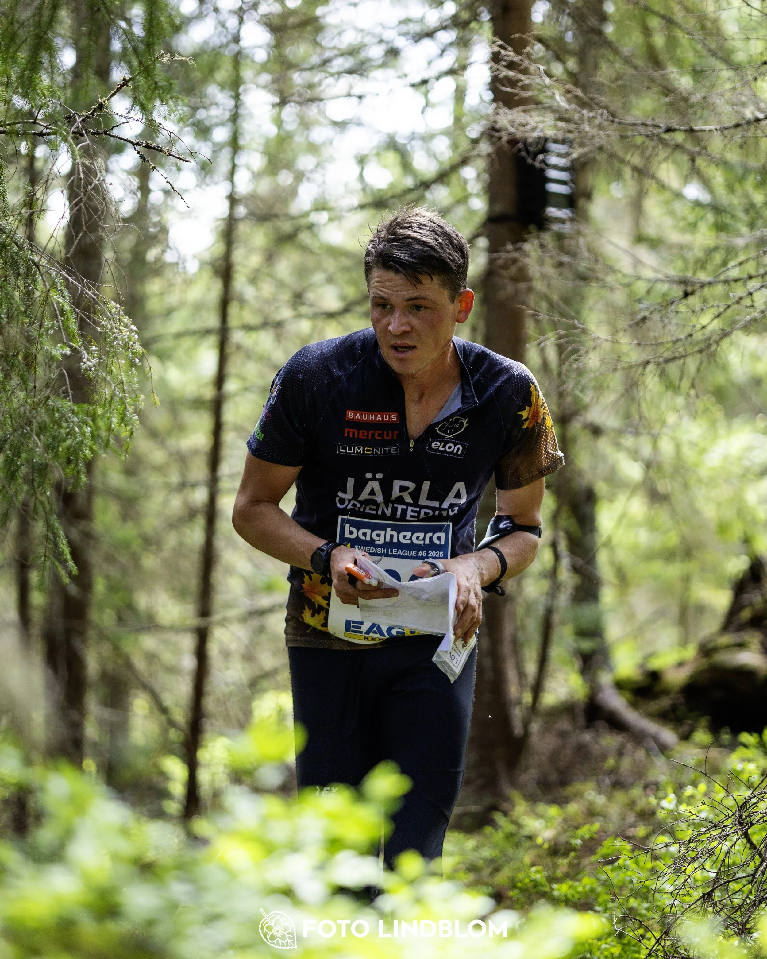 A picture from the seventh stage of the Swedish League orienteering competition