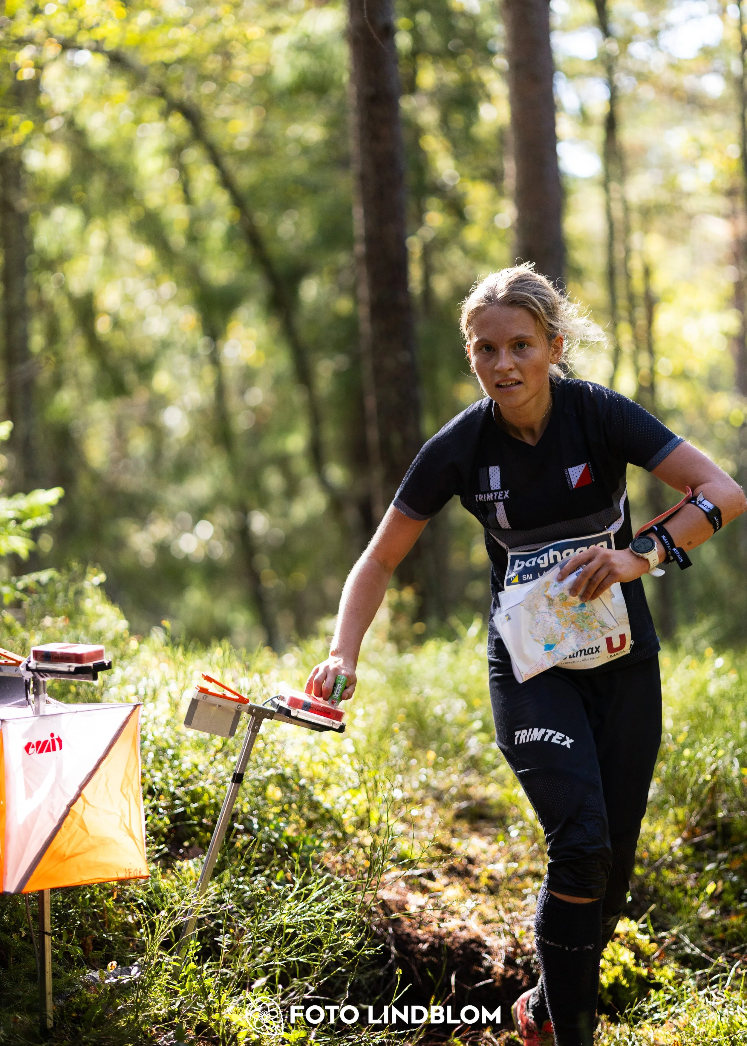 A picture from the Swedish national championship in long distance orienteering and Swedish league race taken by Foto Lindblom