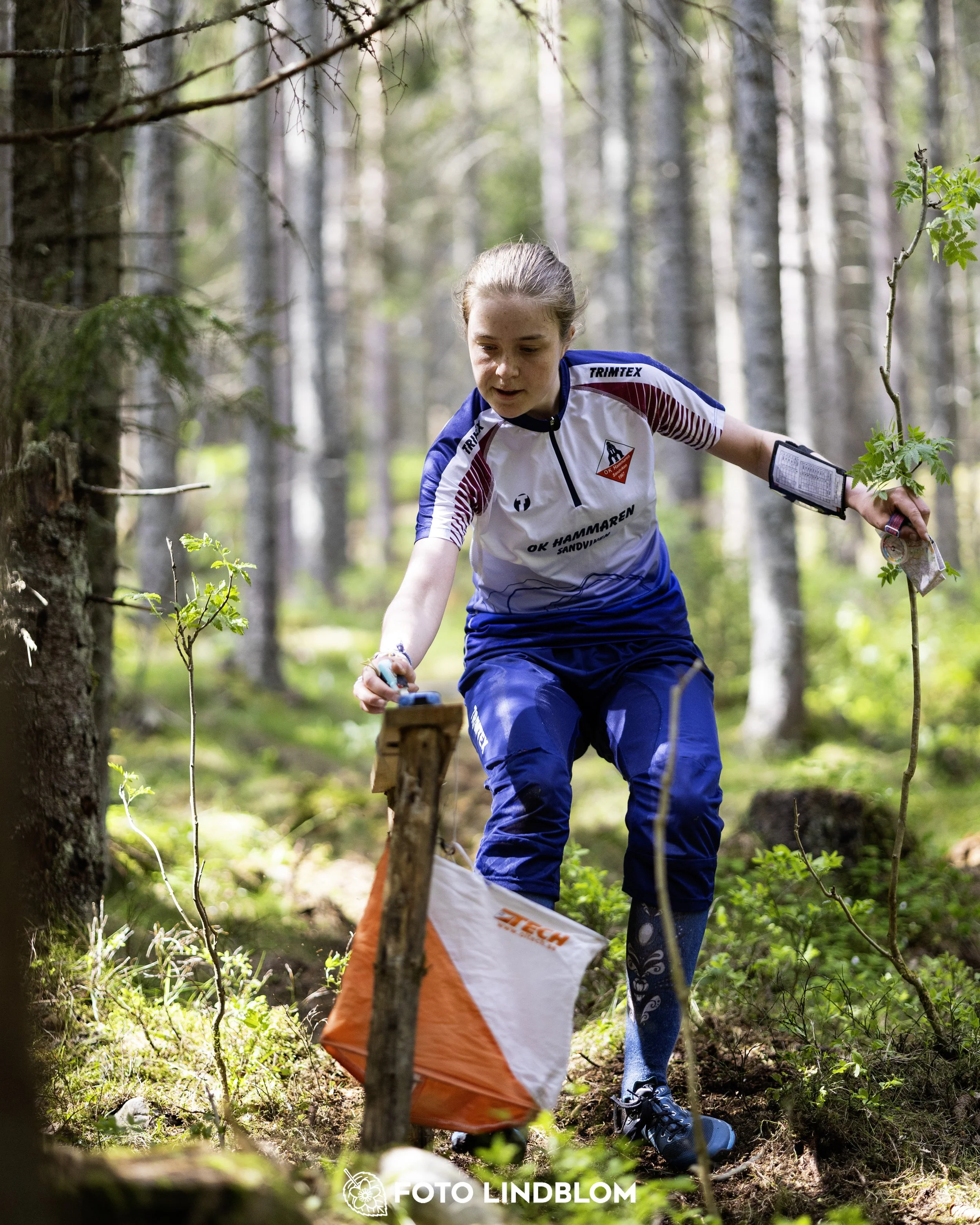 A picture from the seventh stage of the Swedish League orienteering competition