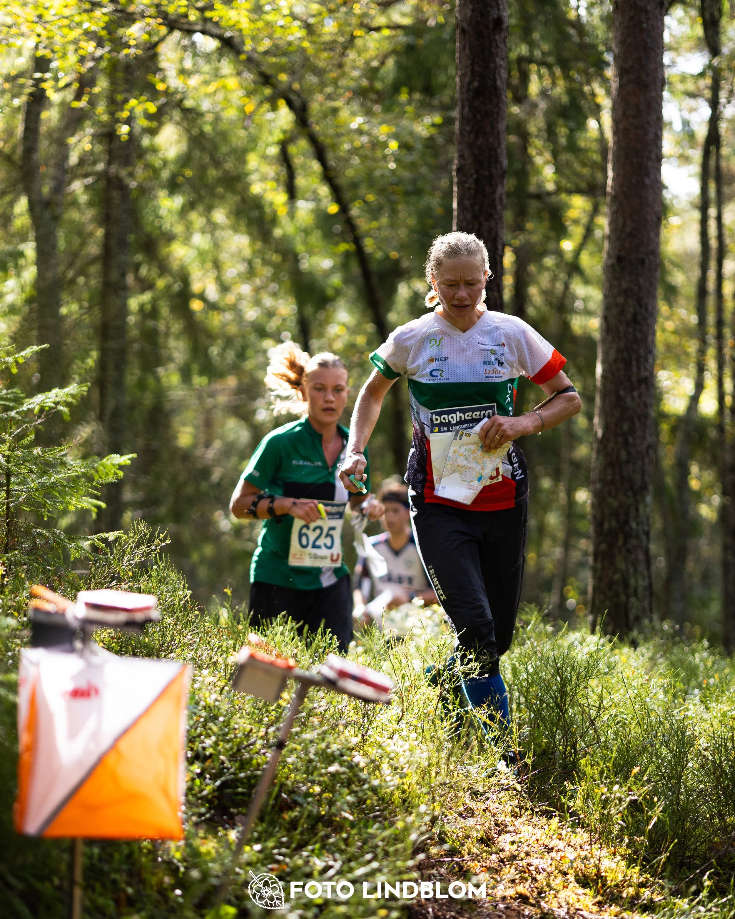 A picture from the Swedish national championship in long distance orienteering and Swedish league race taken by Foto Lindblom
