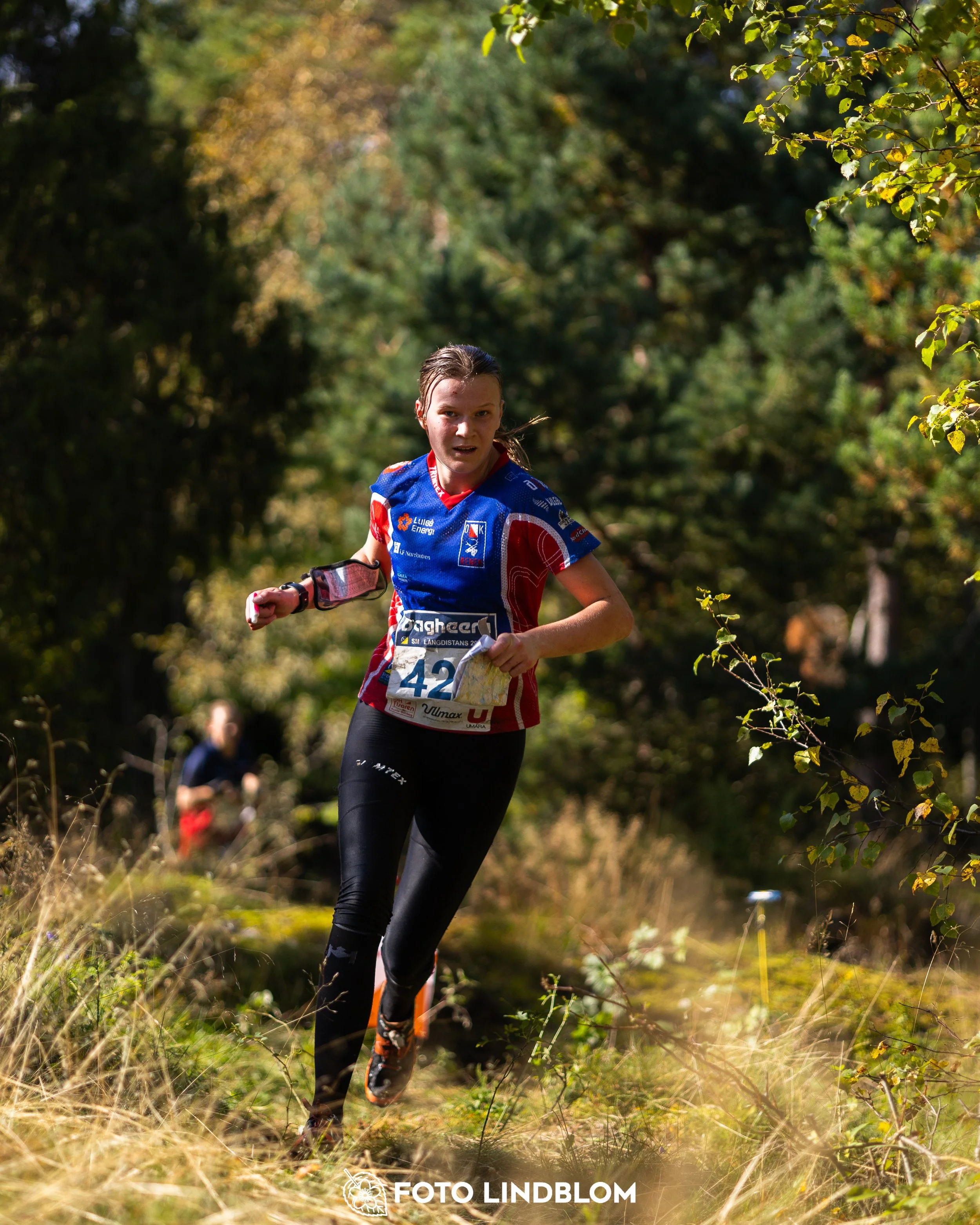 A picture from the Swedish national championship in long distance orienteering and Swedish league race taken by Foto Lindblom