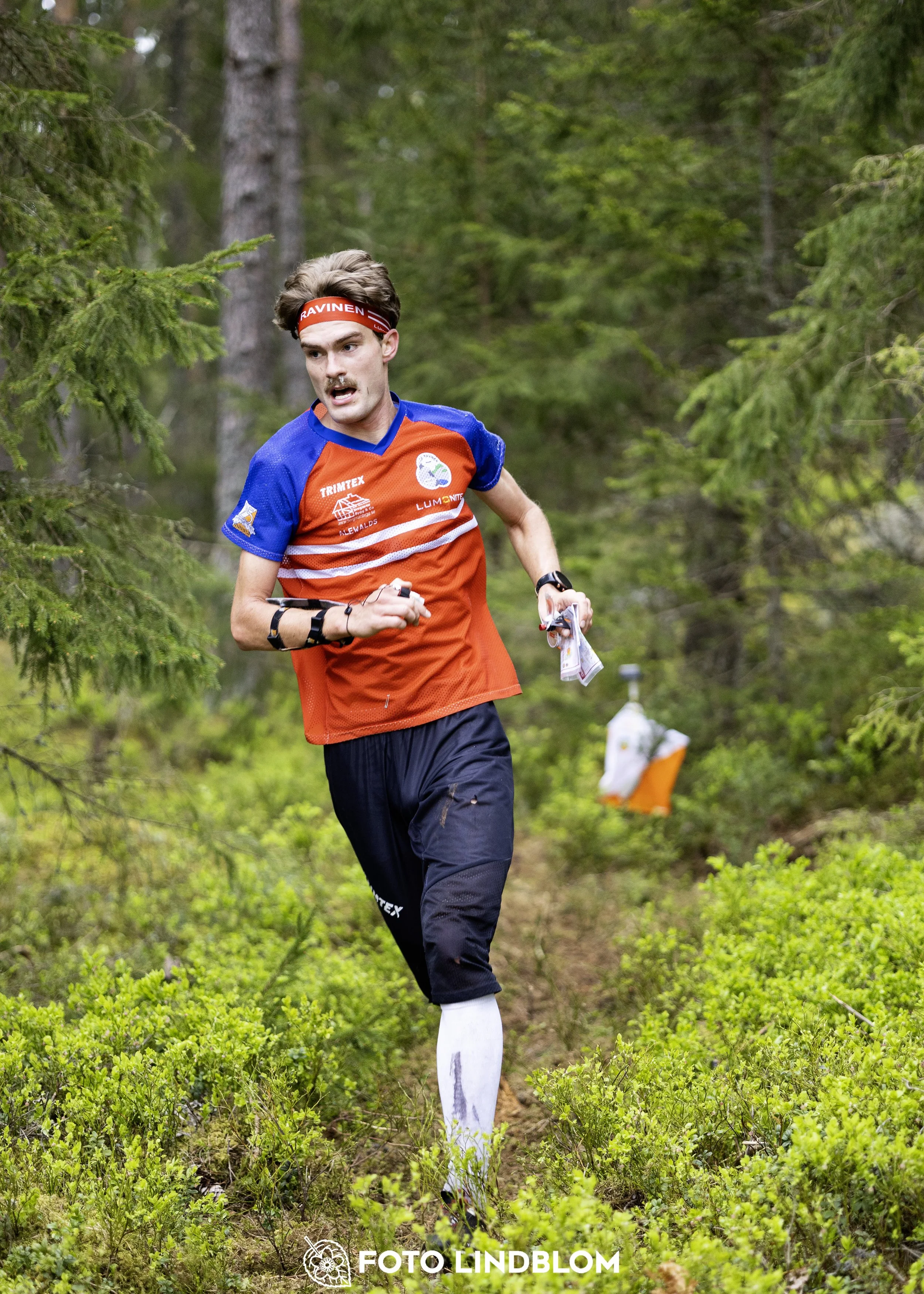 A picture from the Swedish national championship in middle distance orienteering and Swedish league race