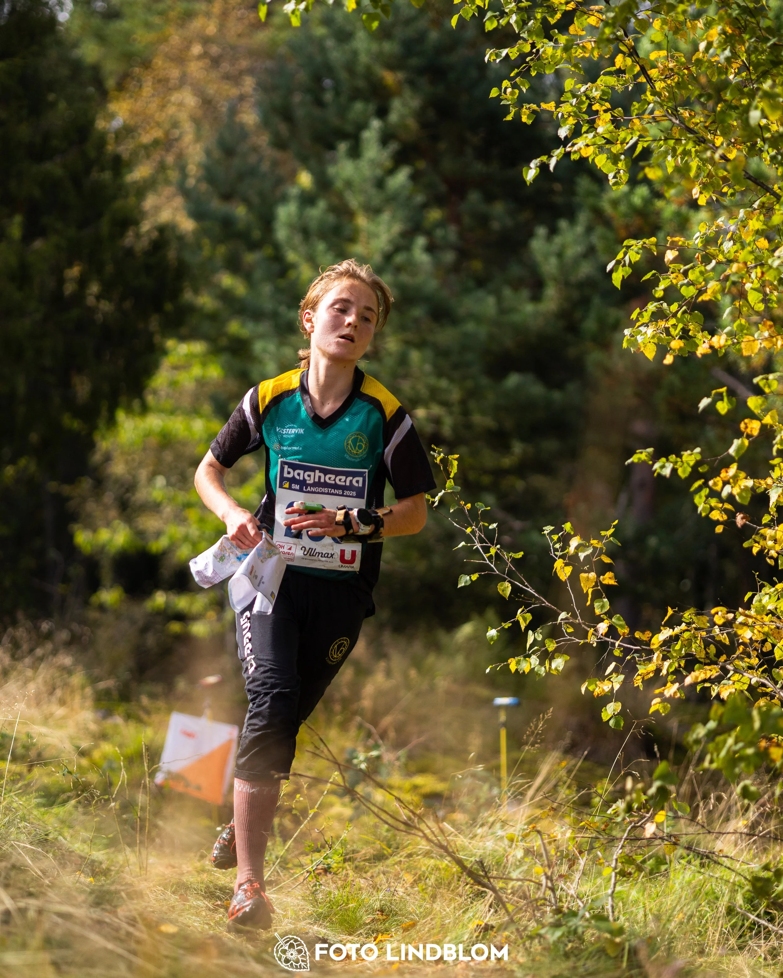 A picture from the Swedish national championship in long distance orienteering and Swedish league race taken by Foto Lindblom