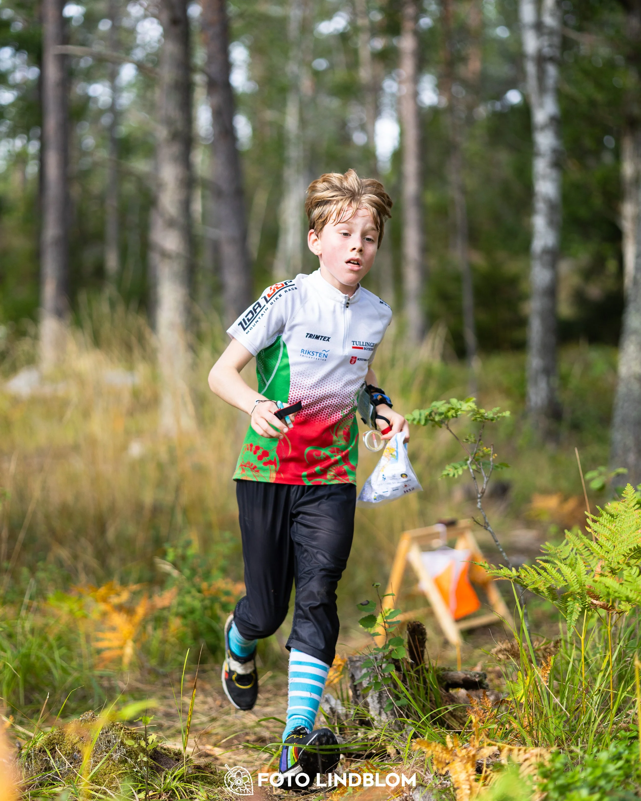 A picture from the Stockholm district championship in middle distance orienteering taken by Foto Lindblom
