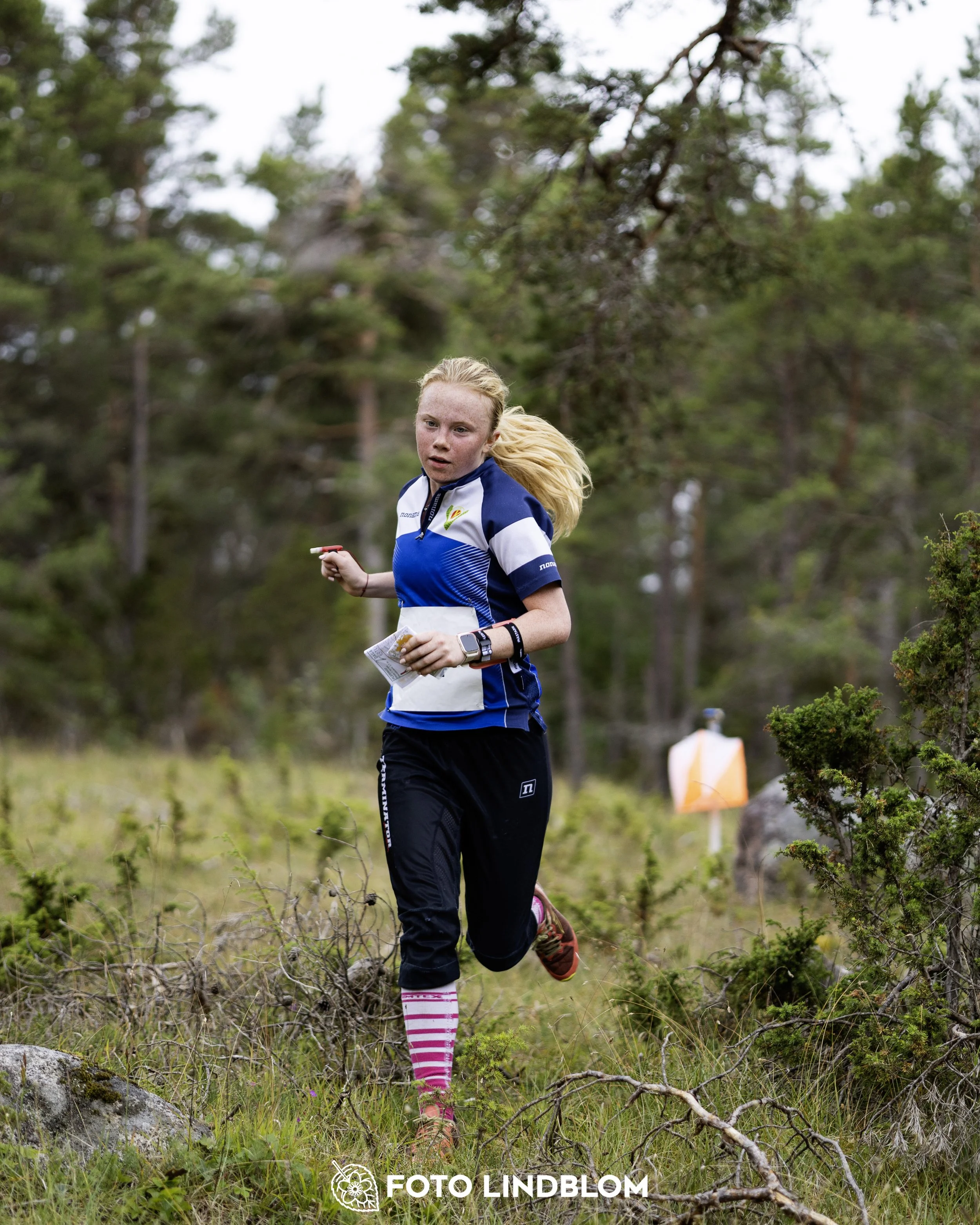 A picture from the Gotlands 2-Dagars orienteering competition
