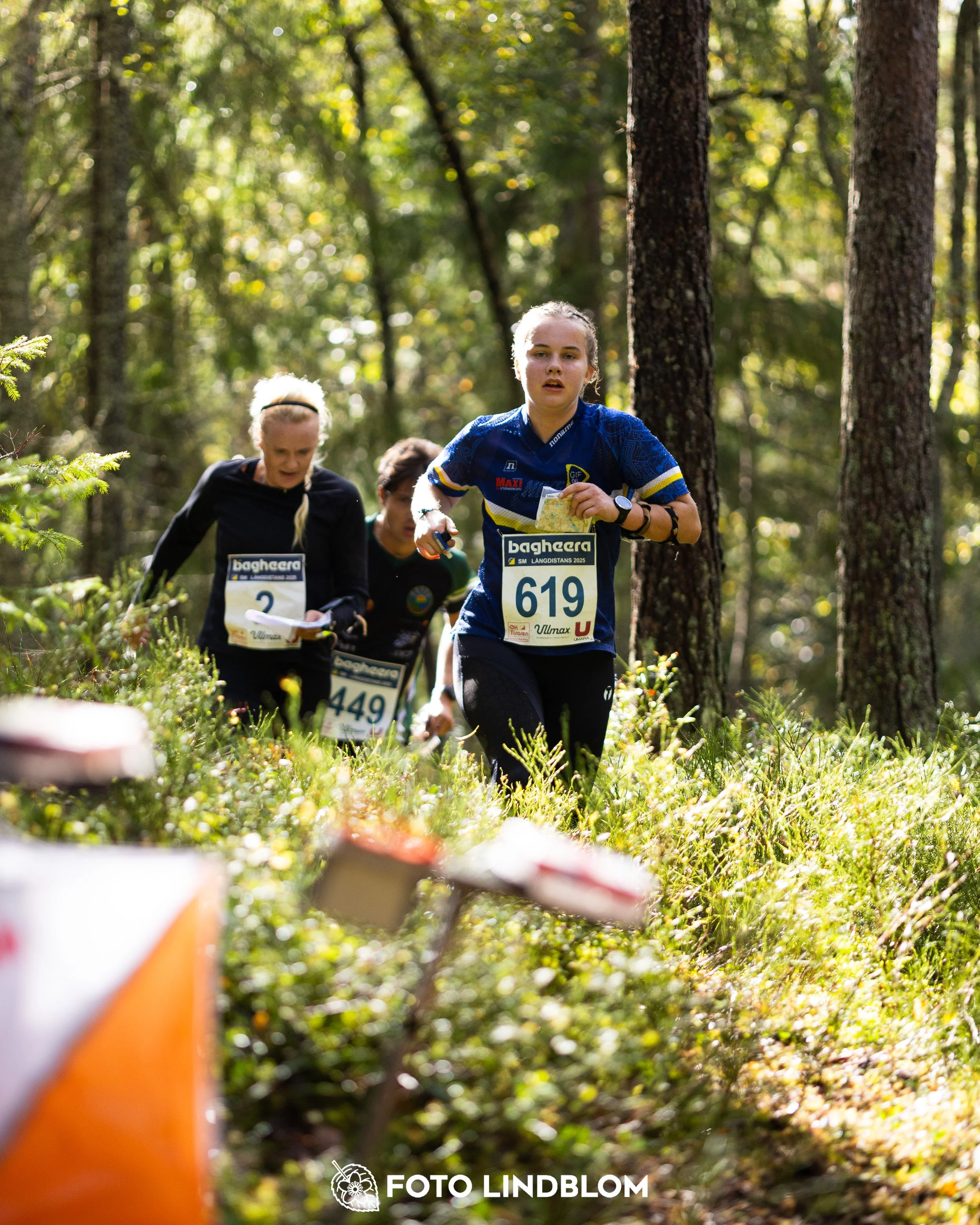 A picture from the Swedish national championship in long distance orienteering and Swedish league race taken by Foto Lindblom
