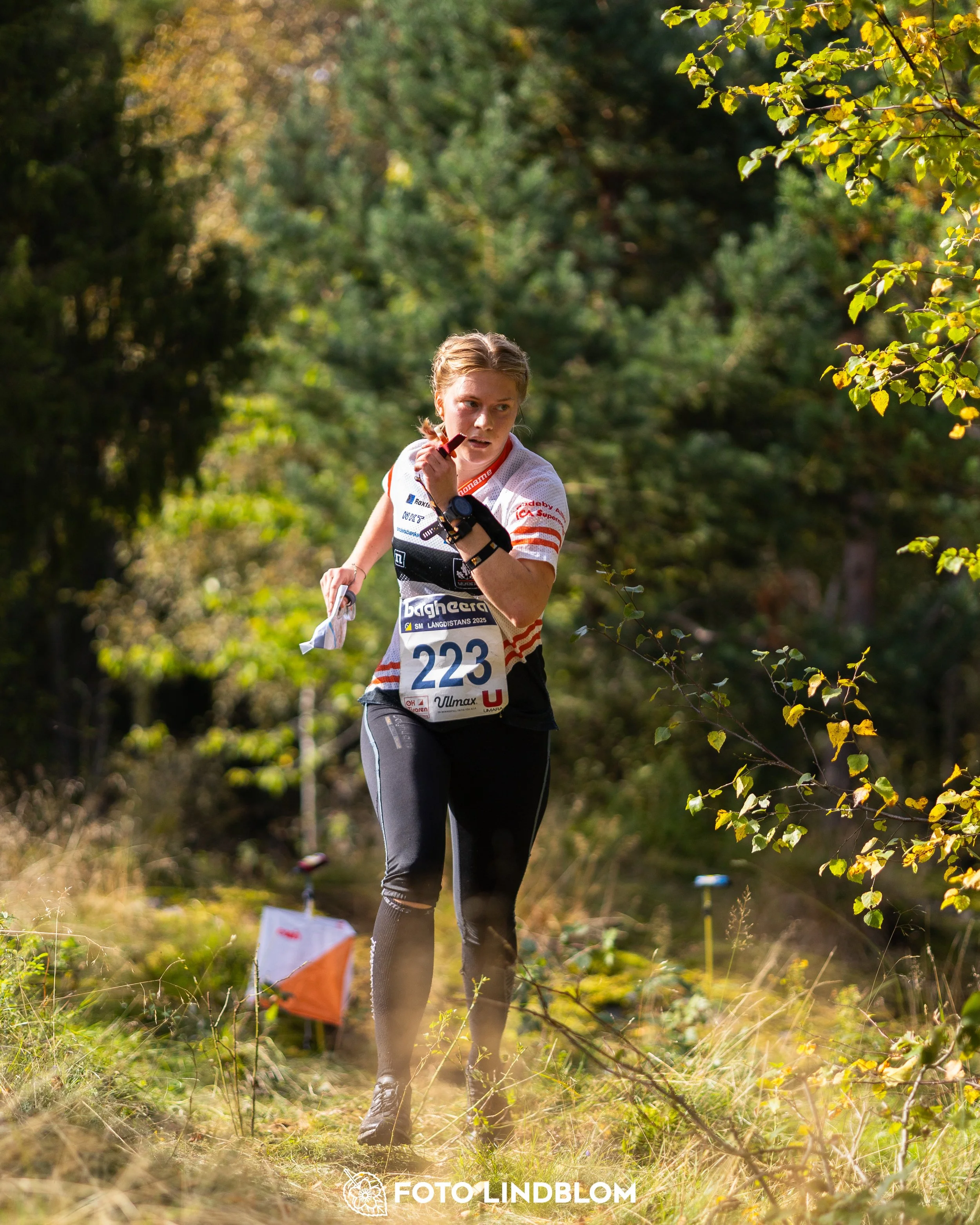 A picture from the Swedish national championship in long distance orienteering and Swedish league race taken by Foto Lindblom