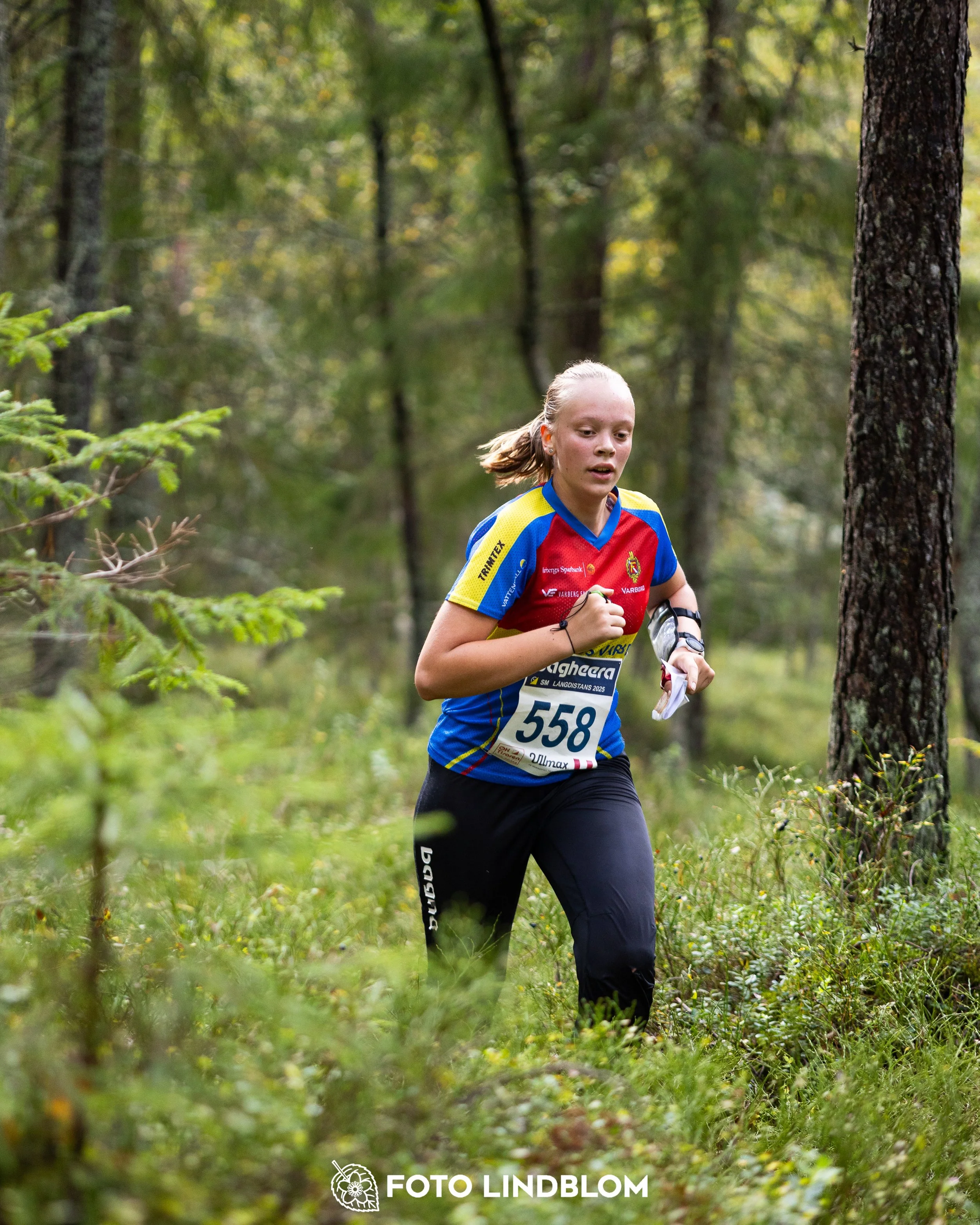 A picture from the Swedish national championship in long distance orienteering and Swedish league race taken by Foto Lindblom