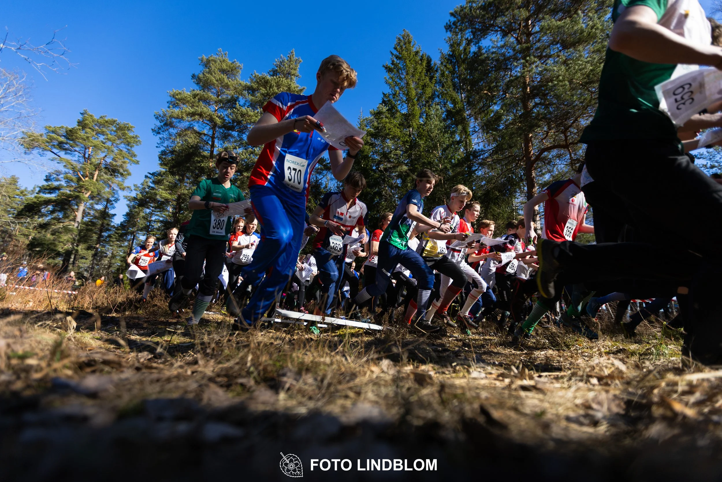 An image from the orienteering relay Måsenstafetten 2026, showing athletes in forest terrain, shot by Foto Lindblom.