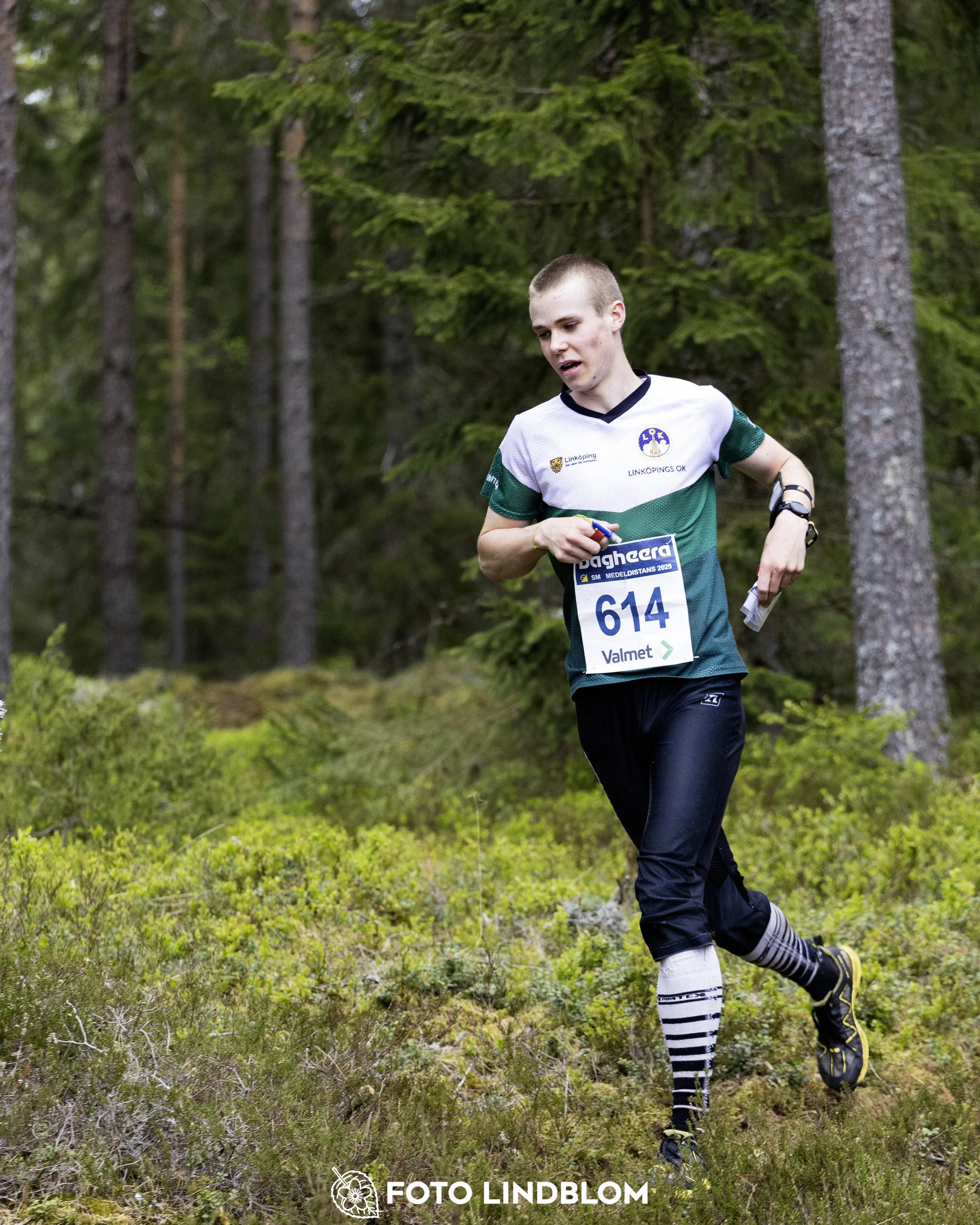 A picture from the Swedish national championship in middle distance orienteering and Swedish league race