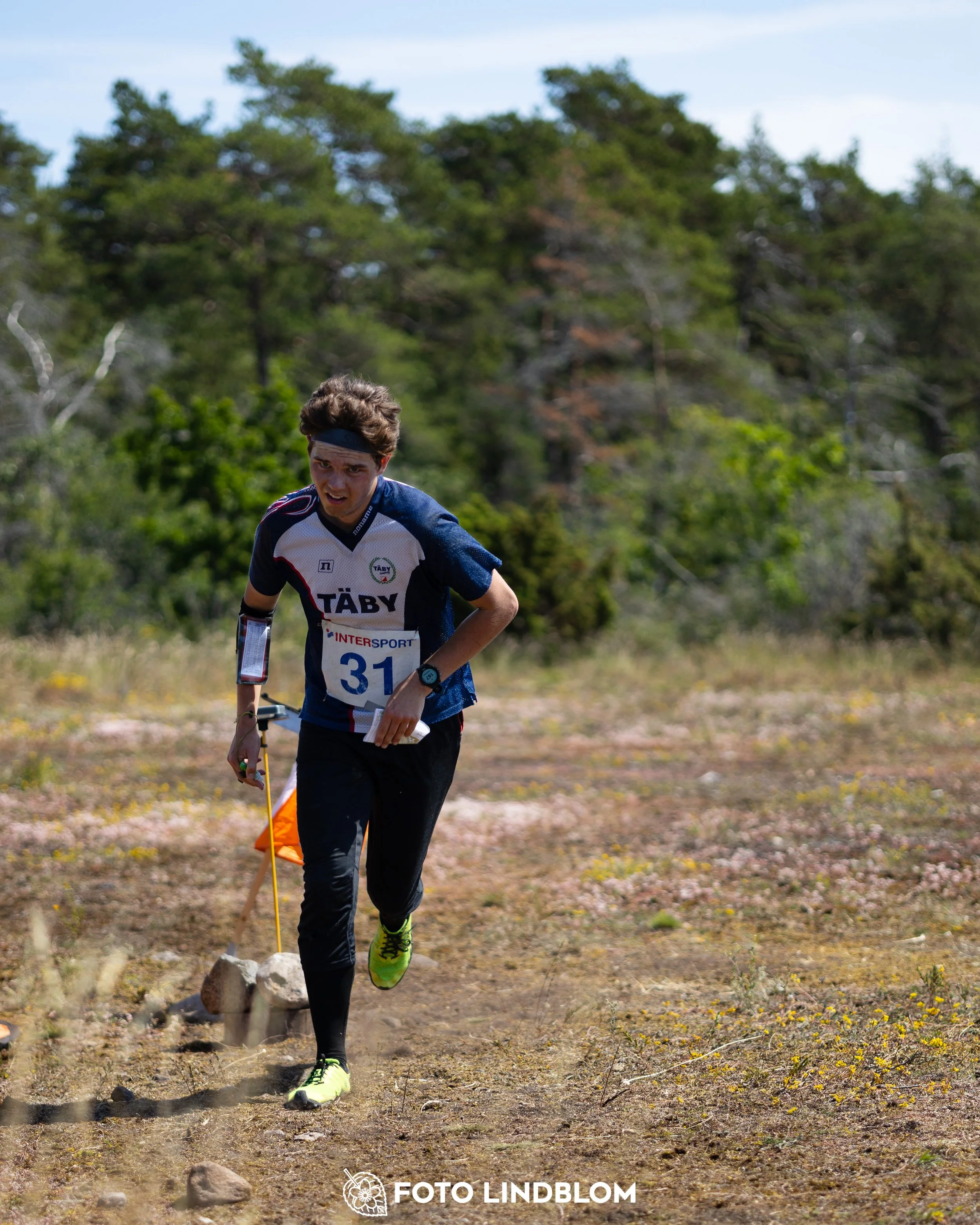 A picture from the Gotlands 3-Dagars orienteering competition