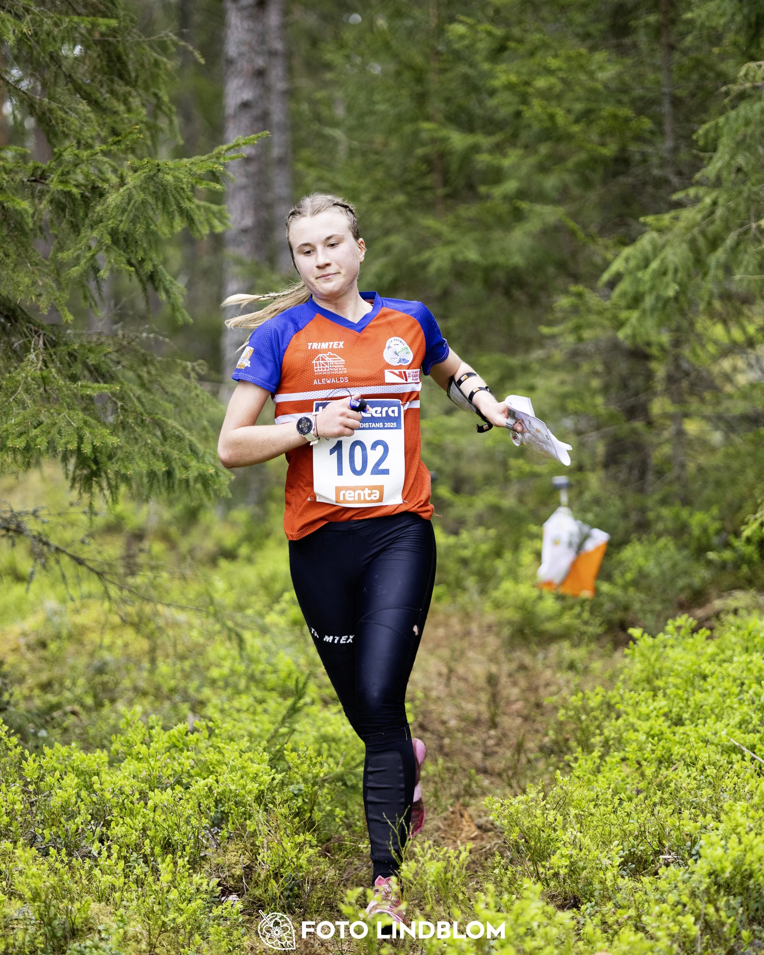 A picture from the Swedish national championship in middle distance orienteering and Swedish league race