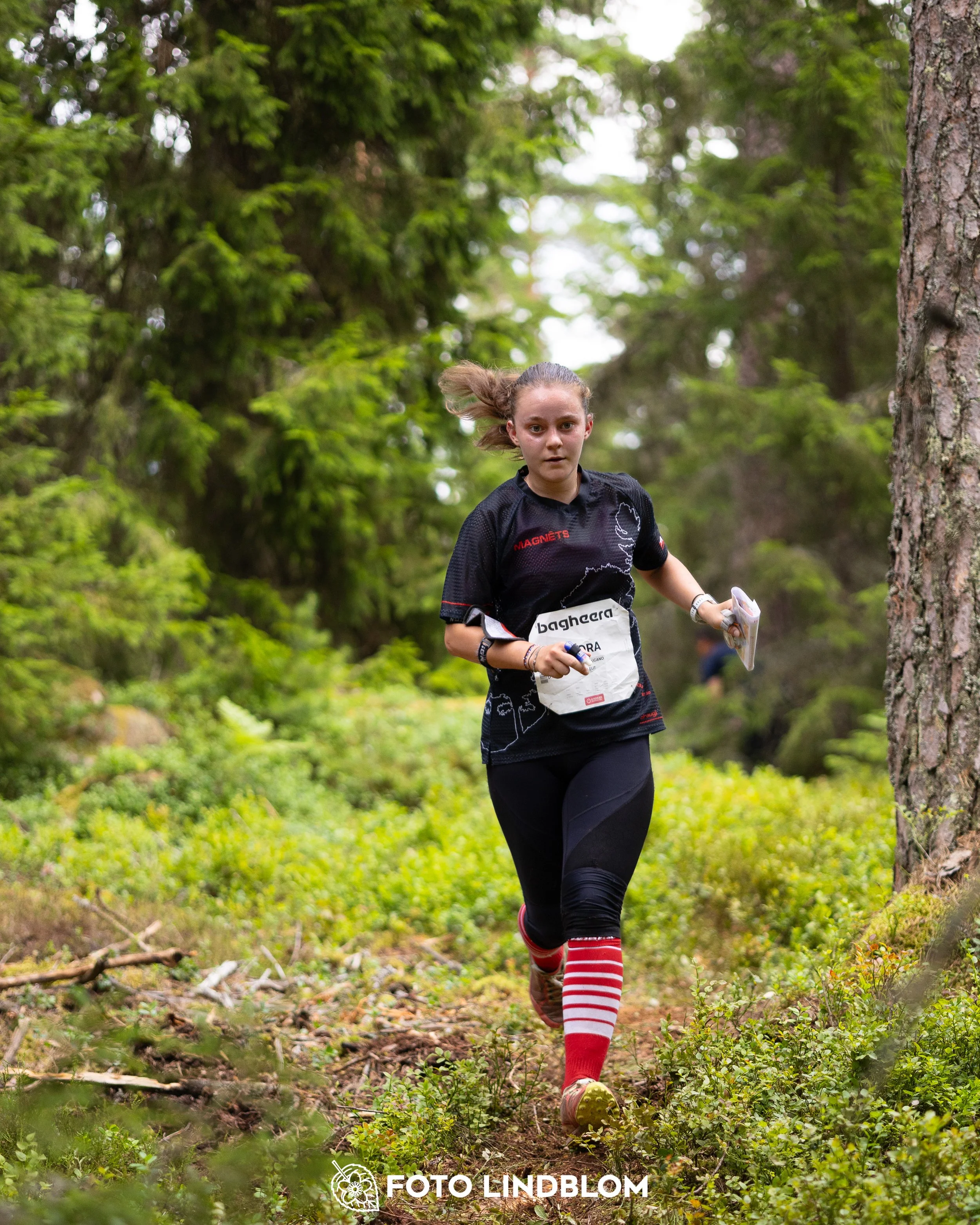 A picture from the second stage of Oringen 2025