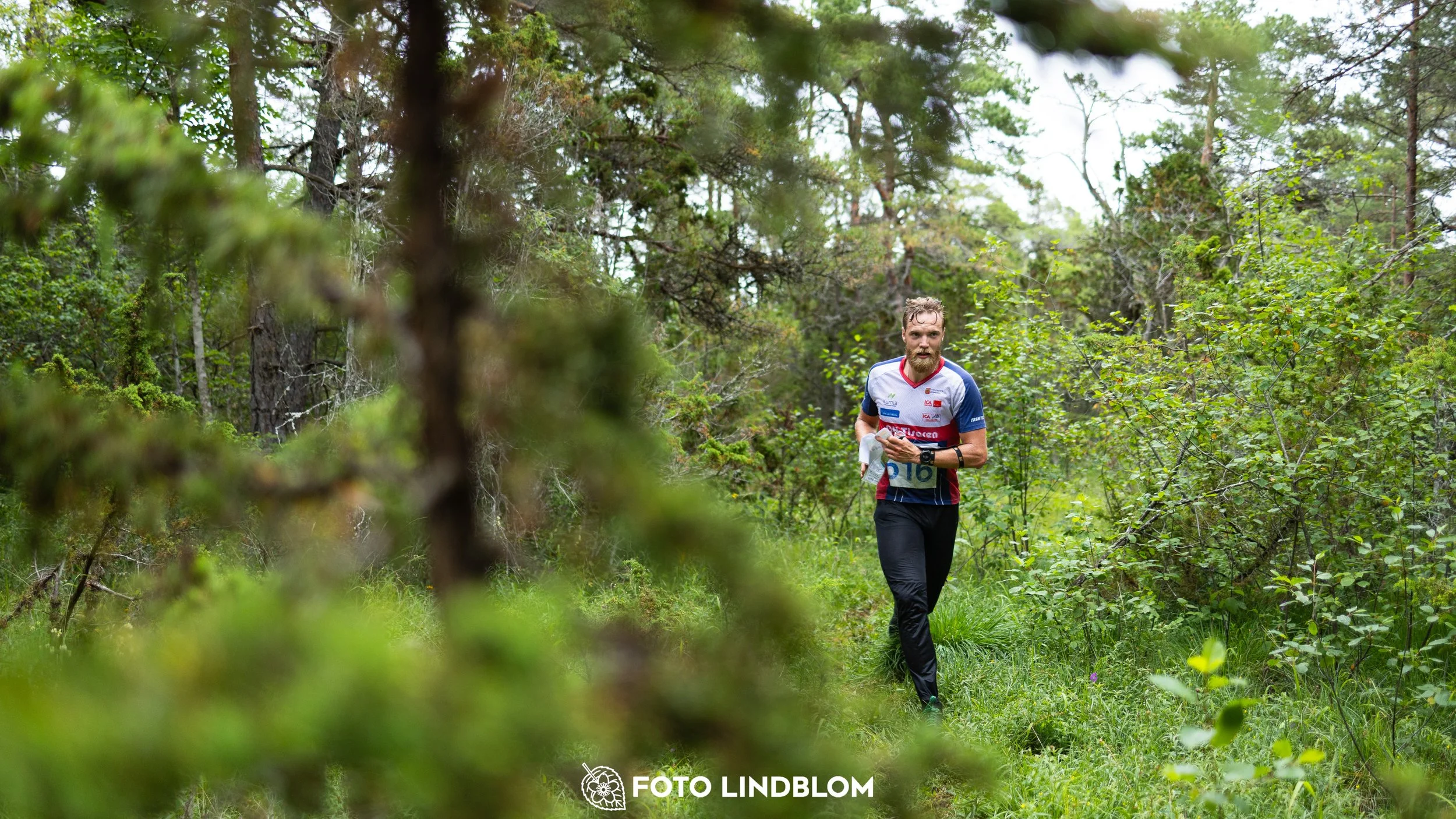 A picture from the Gotlands 3-Dagars orienteering competition