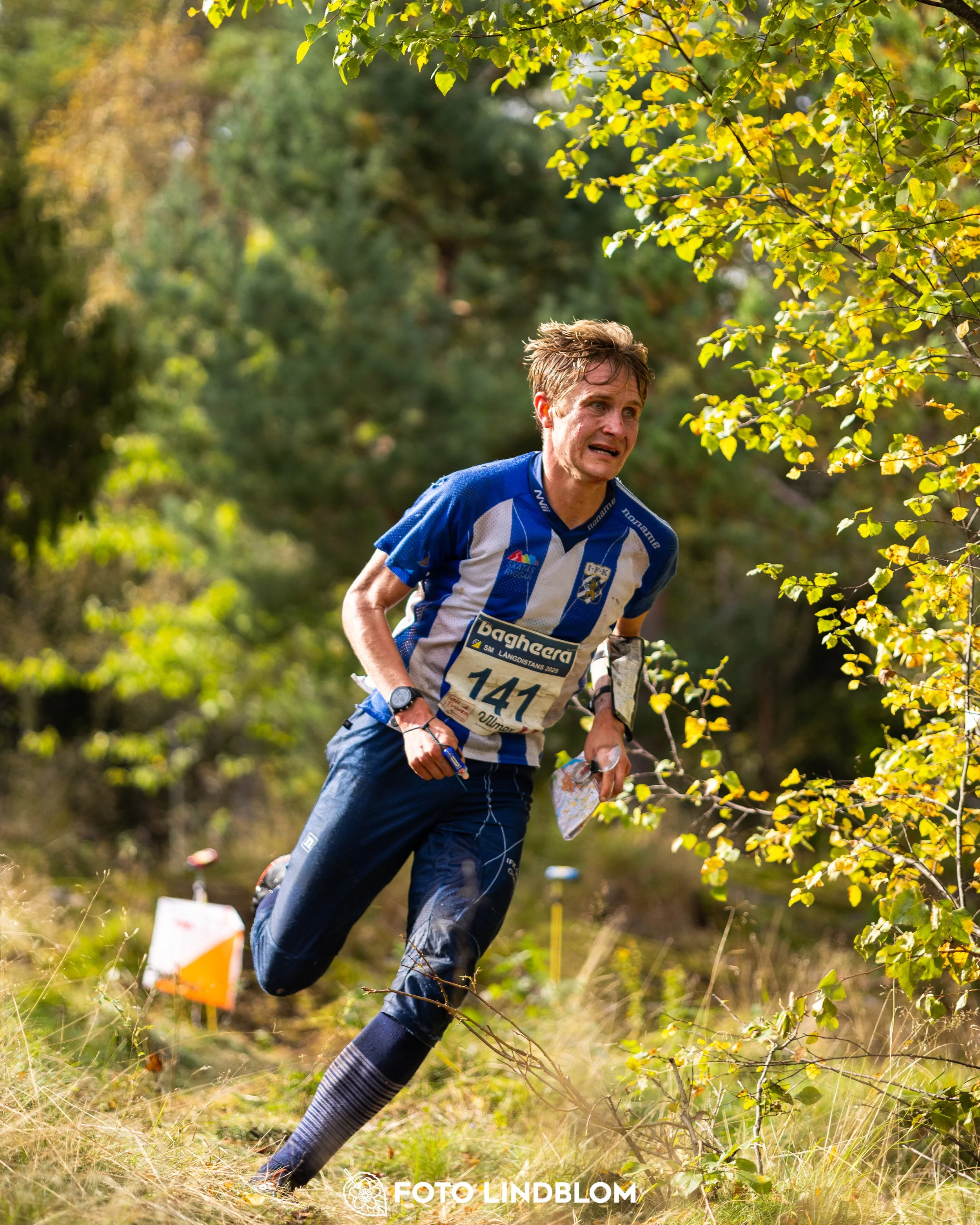 A picture from the Swedish national championship in long distance orienteering and Swedish league race taken by Foto Lindblom