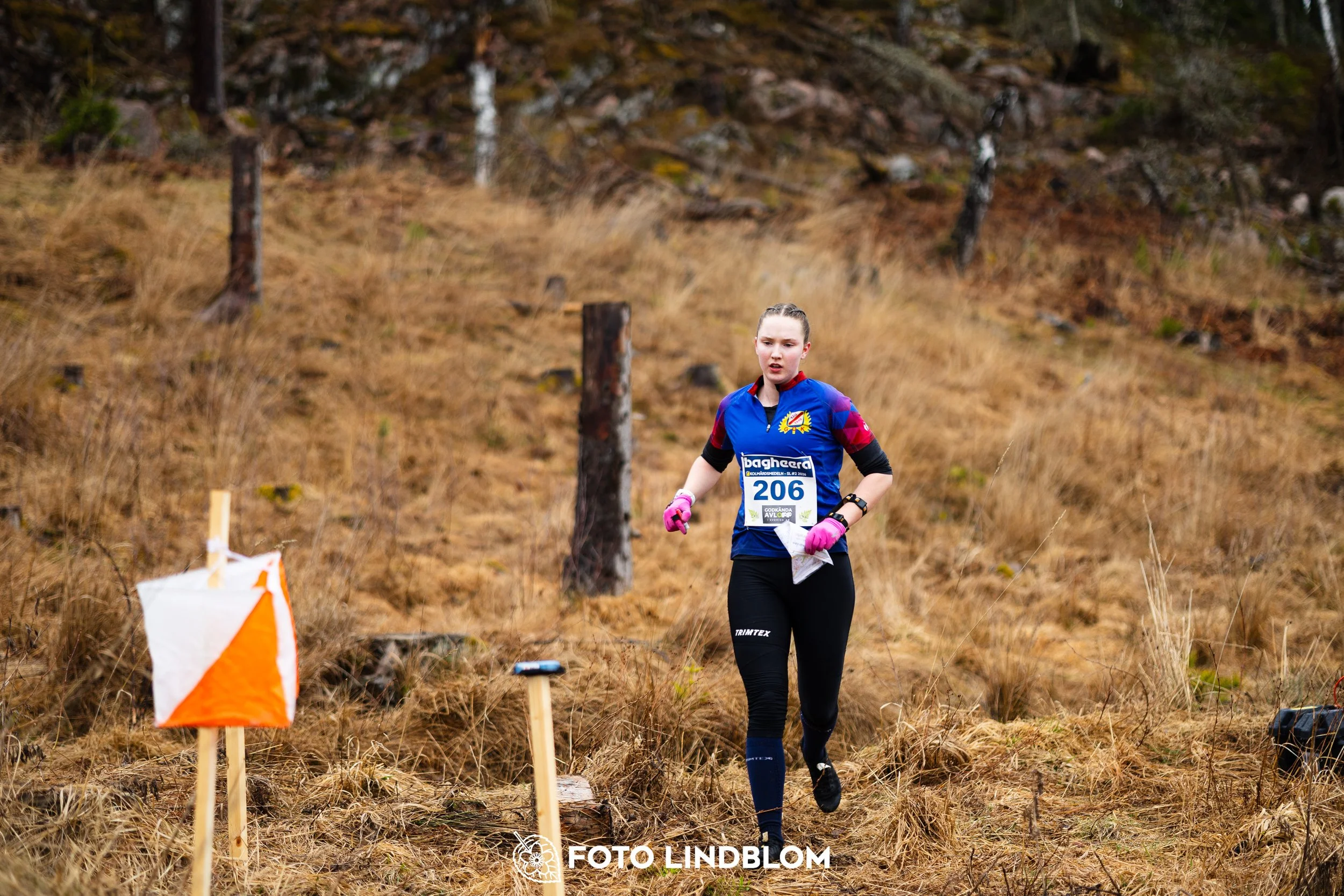 A moment from a middle distance orienteering race in Kolmården during the Swedish League 2026, captured by Foto Lindblom.