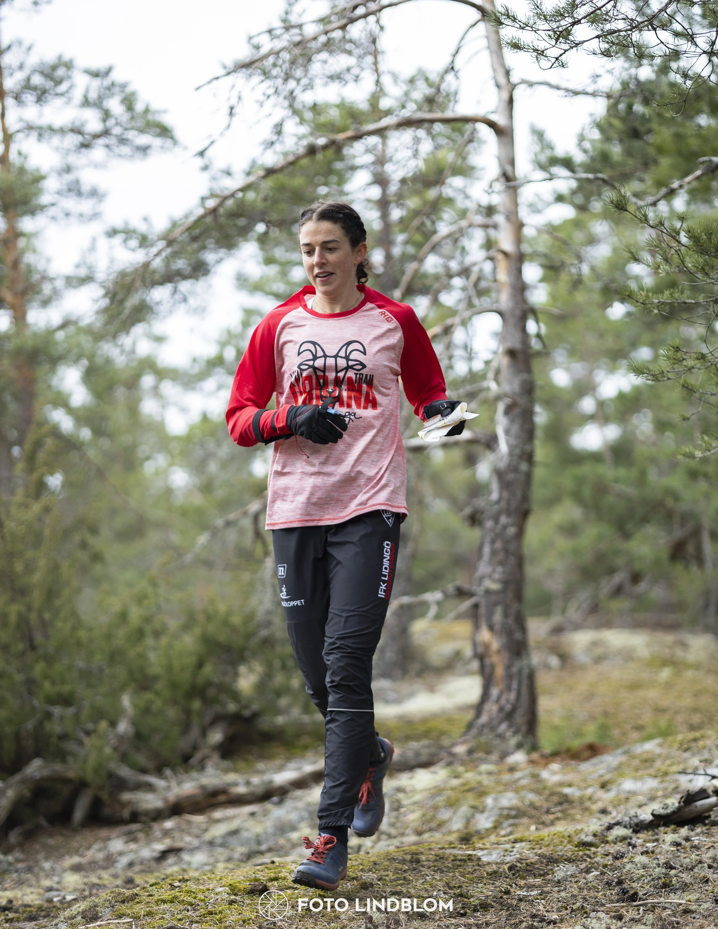 A picture from the orienteering competition "Orminge Medeln"