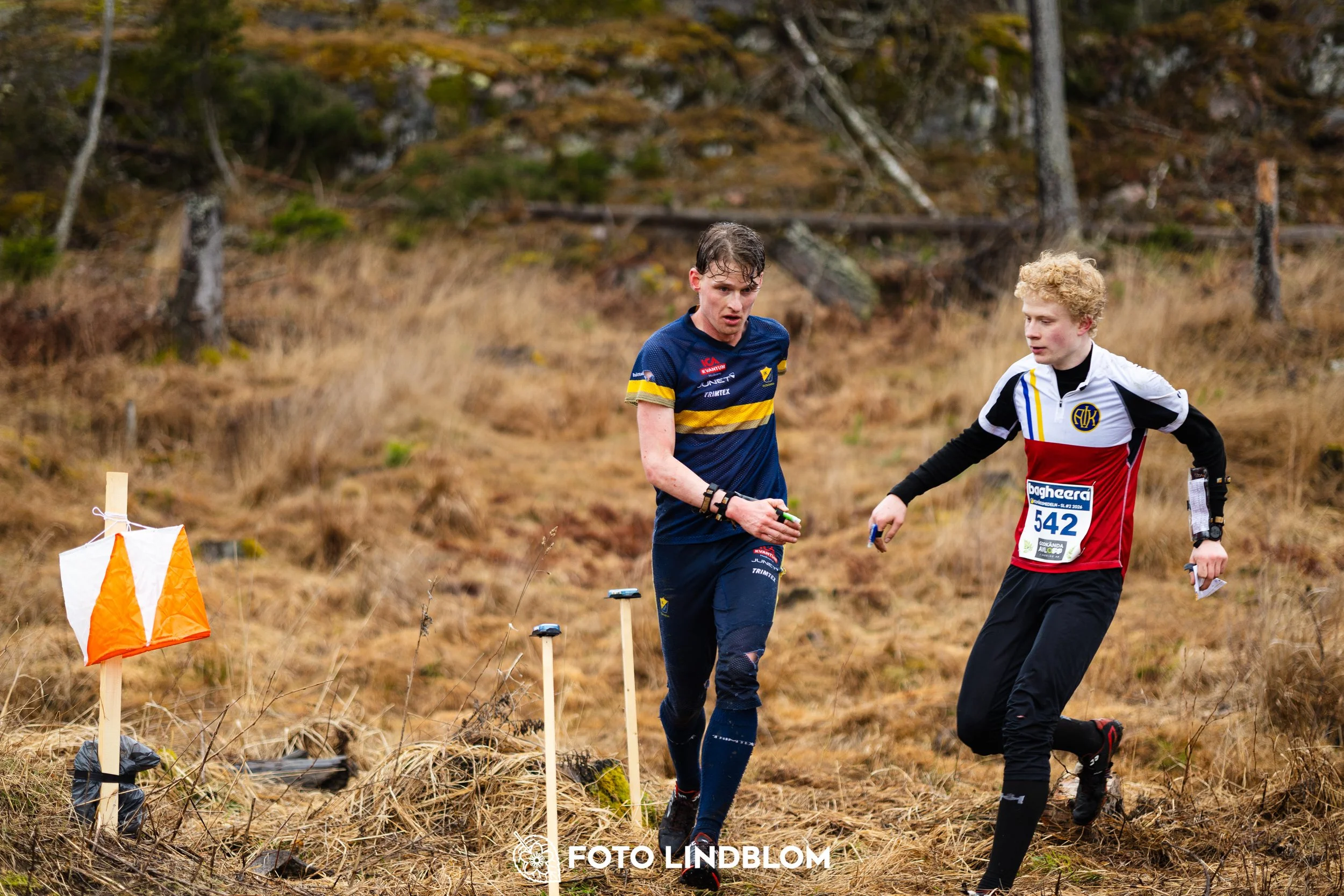 A photo from an orienteering race in Kolmården during the Swedish League spring season 2026, captured by Foto Lindblom.