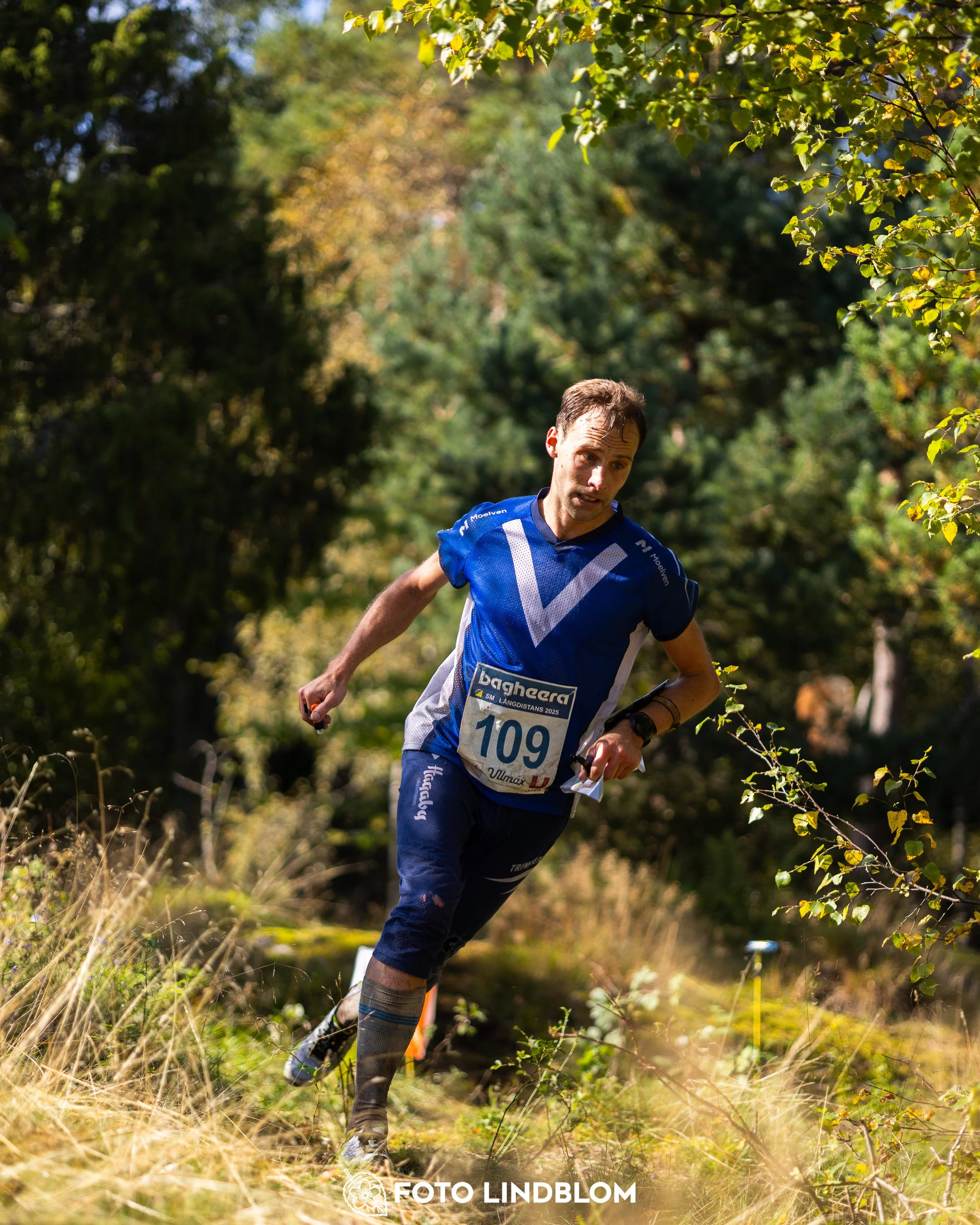 A picture from the Swedish national championship in long distance orienteering and Swedish league race taken by Foto Lindblom