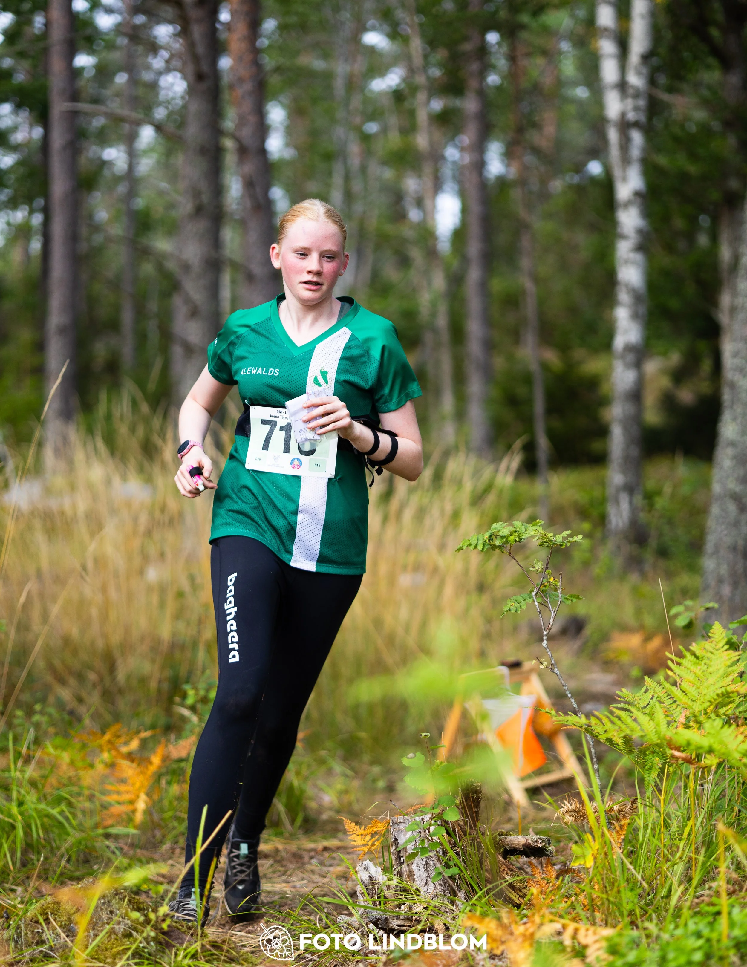 A picture from the Stockholm district championship in middle distance orienteering taken by Foto Lindblom
